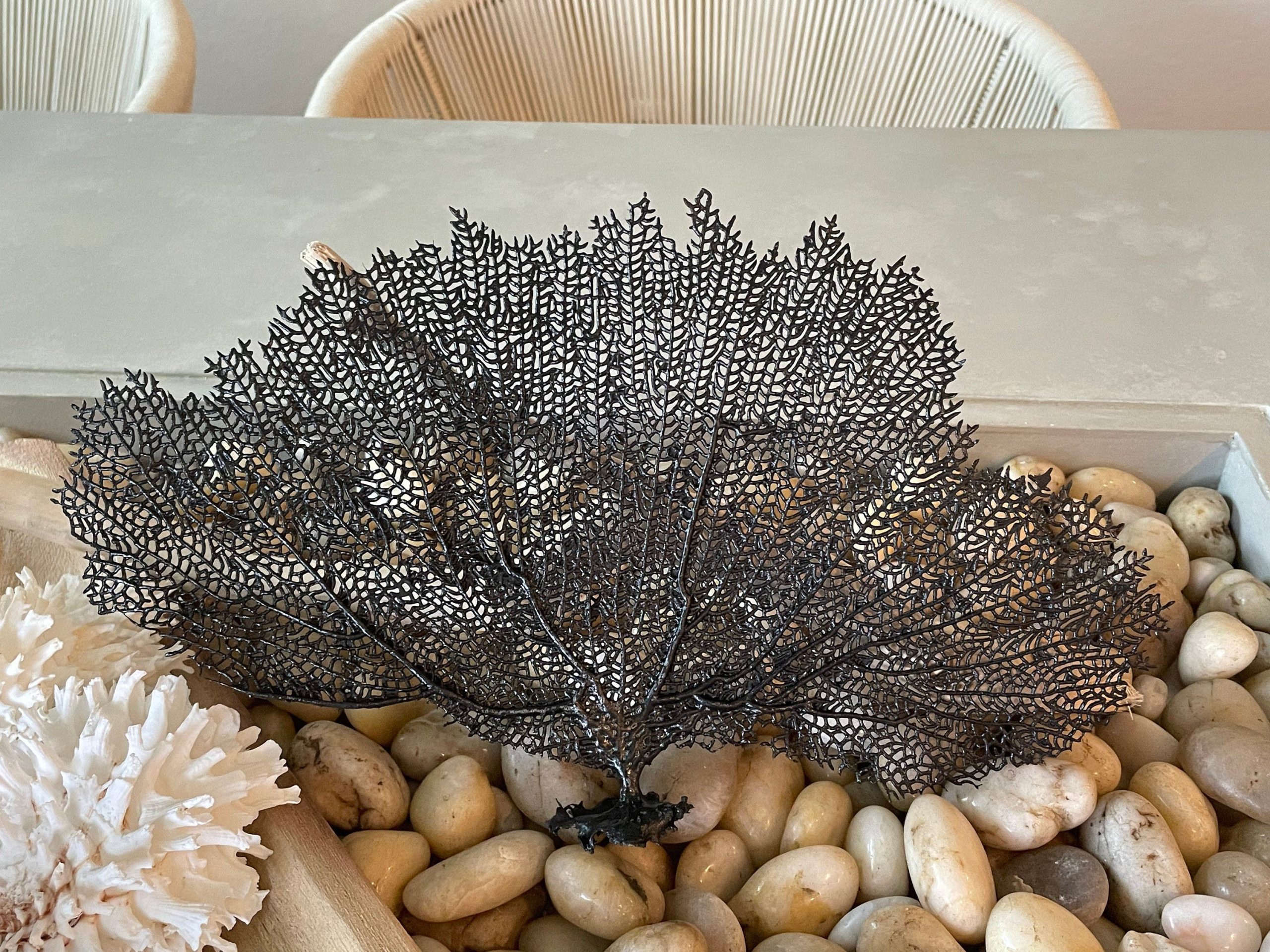 Black Sea Fan (8-20") *You Choose Size* Natural Hand Painted Coastal Décor - Image 10