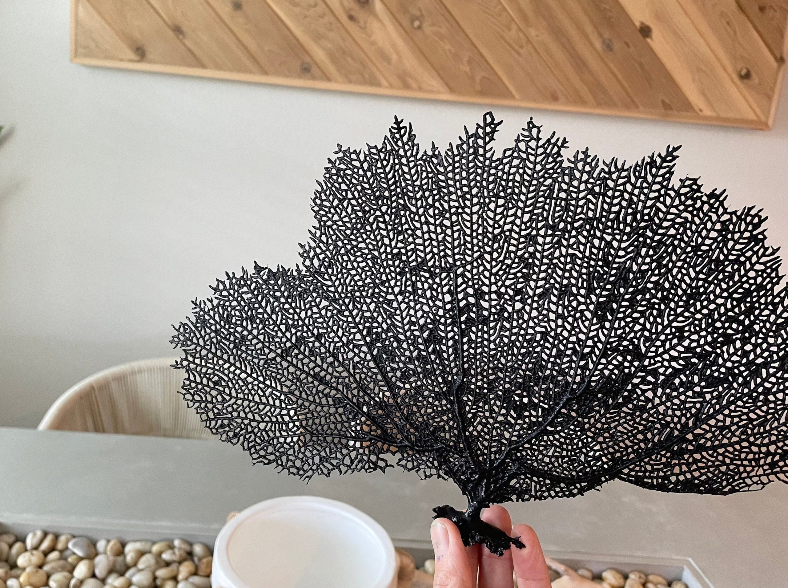 Black Sea Fan (8-20") *You Choose Size* Natural Hand Painted Coastal Décor - Image 2