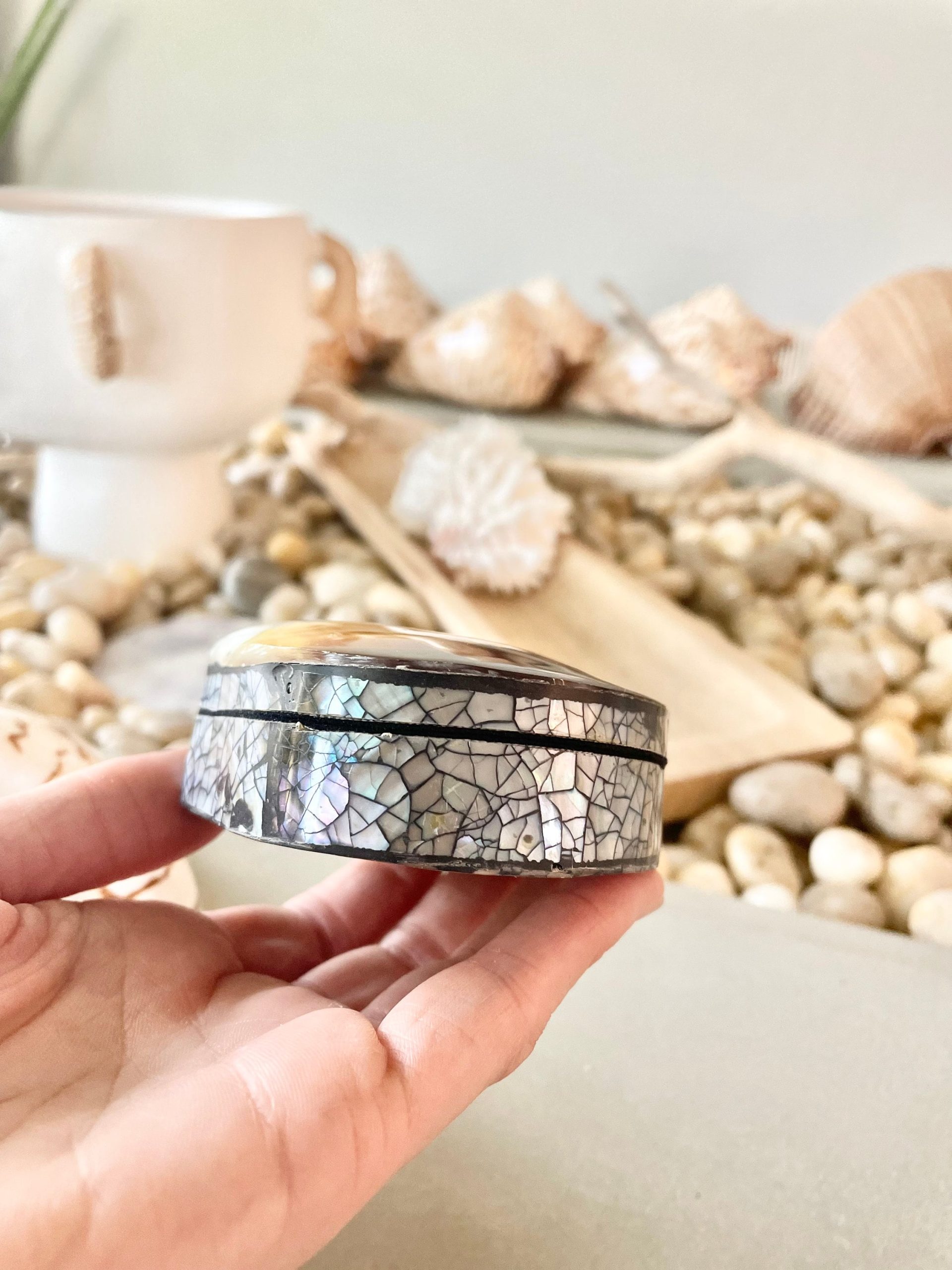 Coastal Gift Box Black Lip 4" Shell Irredescent Seashell Jewelry Beach Décor - Image 8