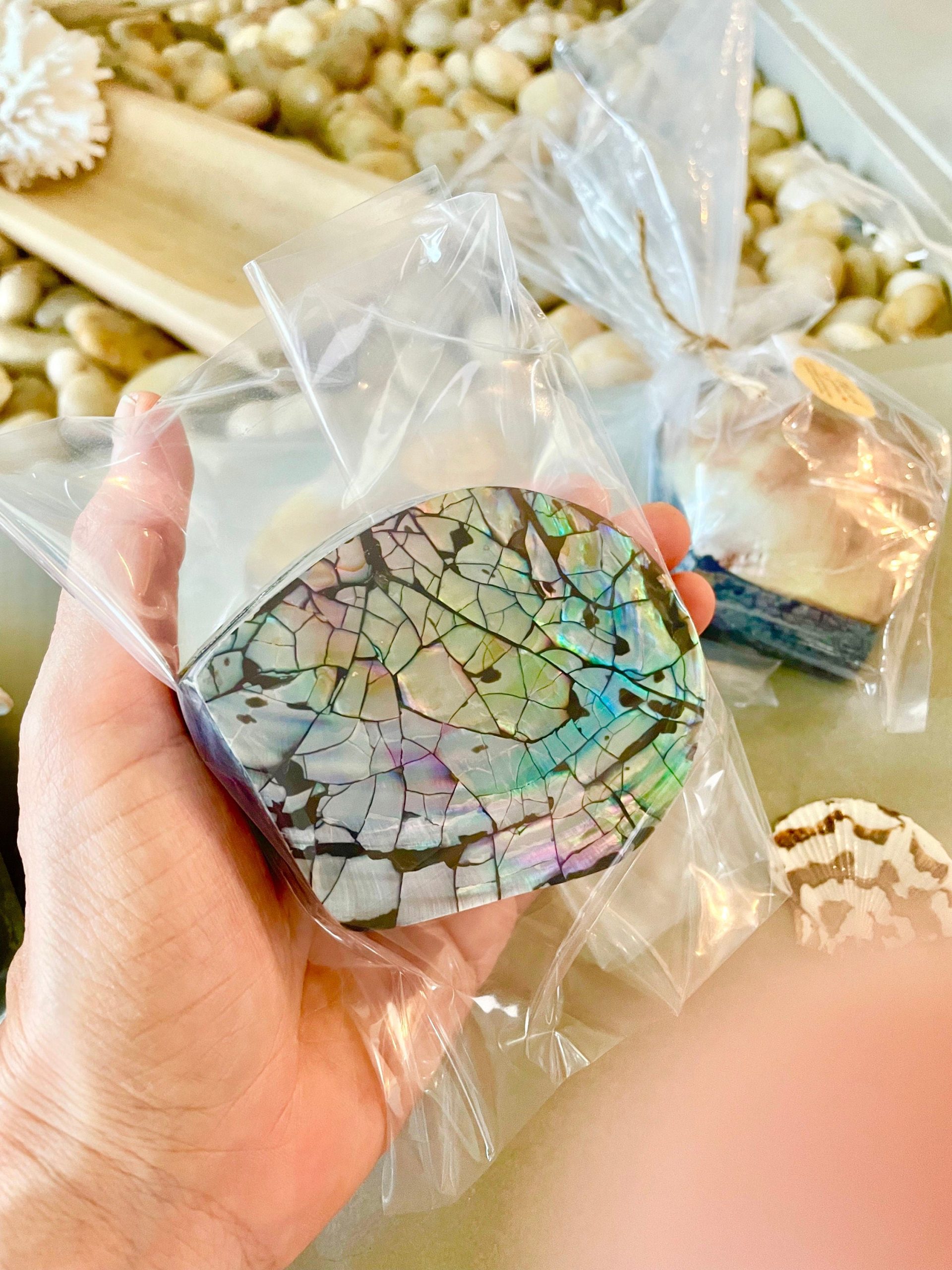 Coastal Gift Box Black Lip 4" Shell Irredescent Seashell Jewelry Beach Décor - Image 4