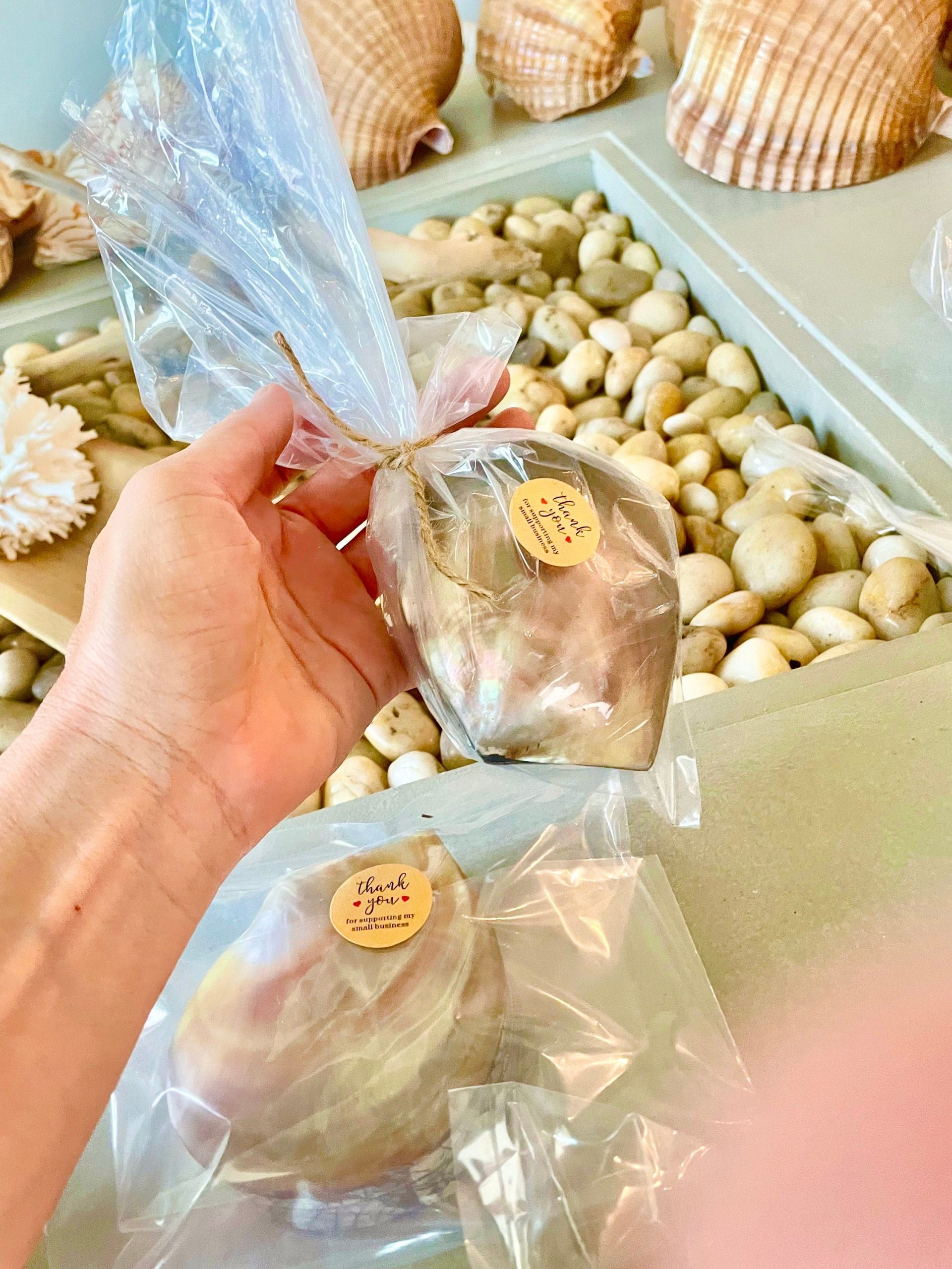 Coastal Gift Box Black Lip 4" Shell Irredescent Seashell Jewelry Beach Décor - Image 3