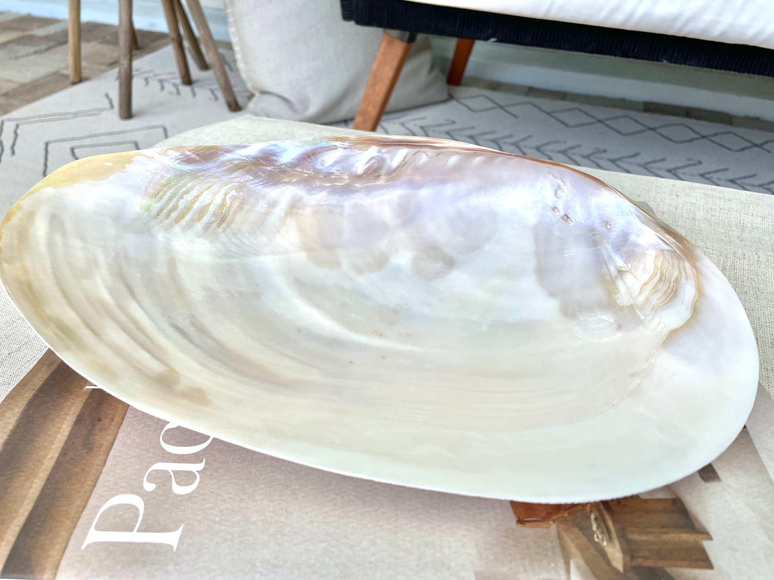 Giant Mussel Shell Half's *All Sizes* Polished Mother of Pearl Decorative Dish - Image 7