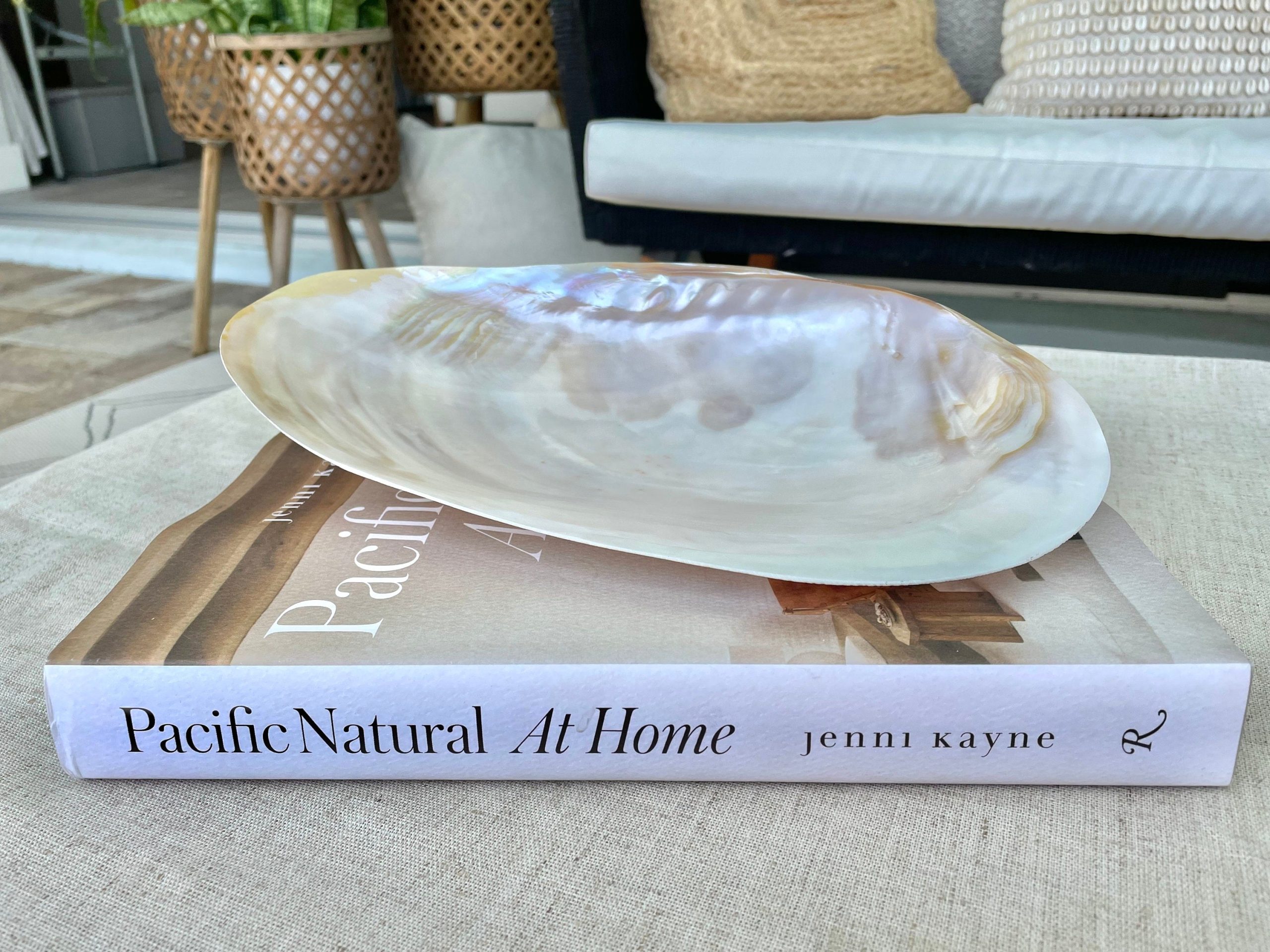 Giant Mussel Shell Half's *All Sizes* Polished Mother of Pearl Decorative Dish - Image 6