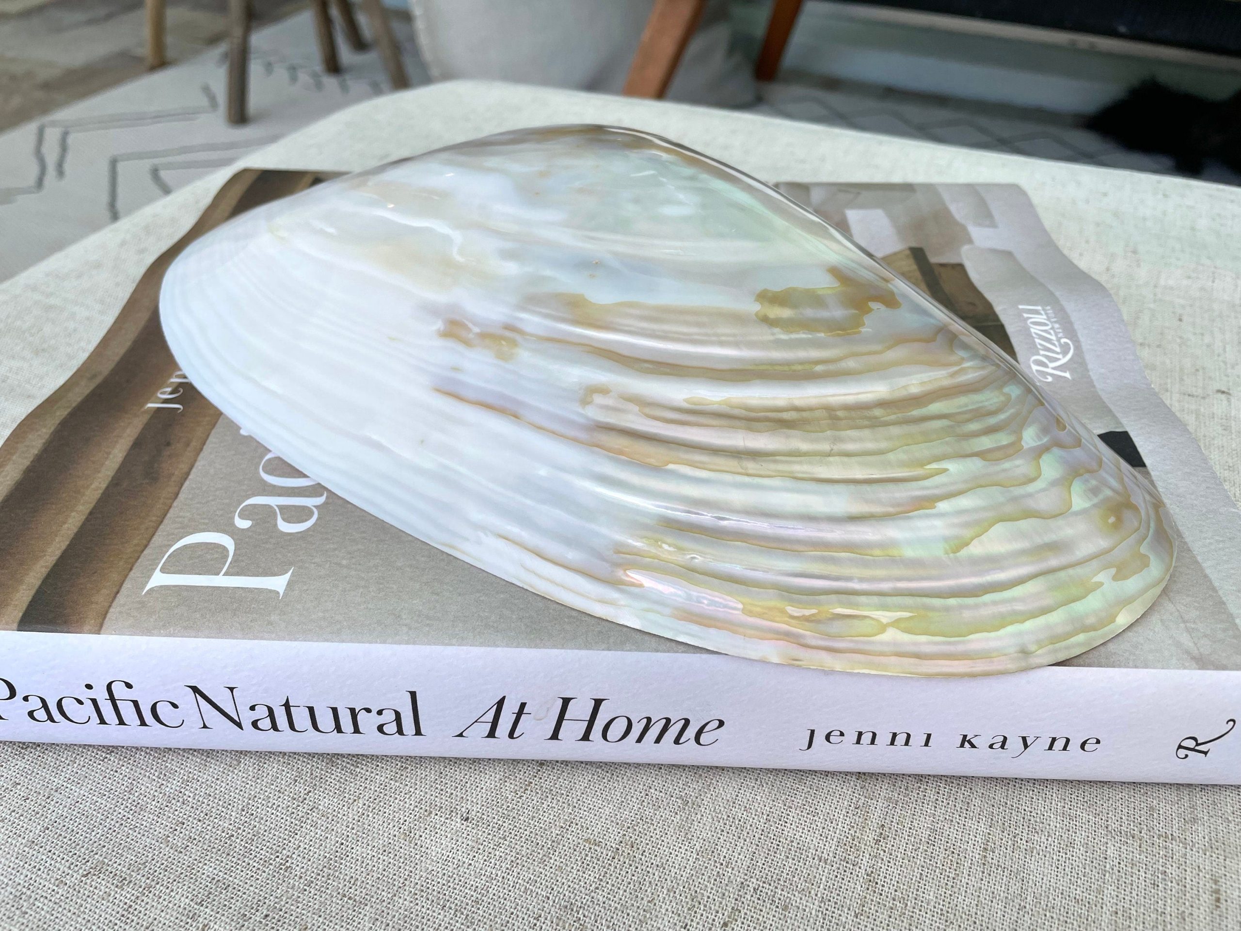 Giant Mussel Shell Half's *All Sizes* Polished Mother of Pearl Decorative Dish - Image 8