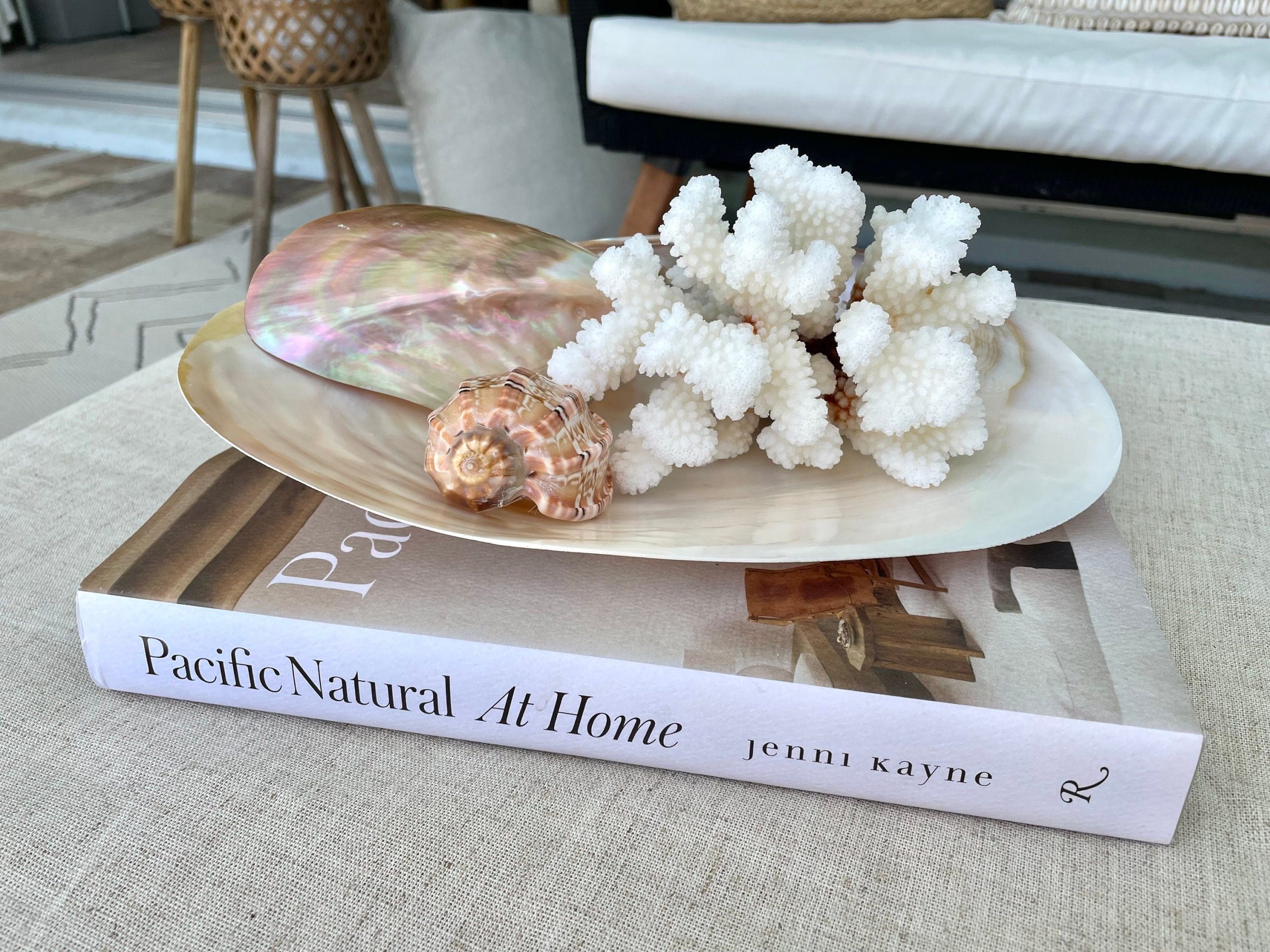 Giant Mussel Shell Half's *All Sizes* Polished Mother of Pearl Decorative Dish - Image 10