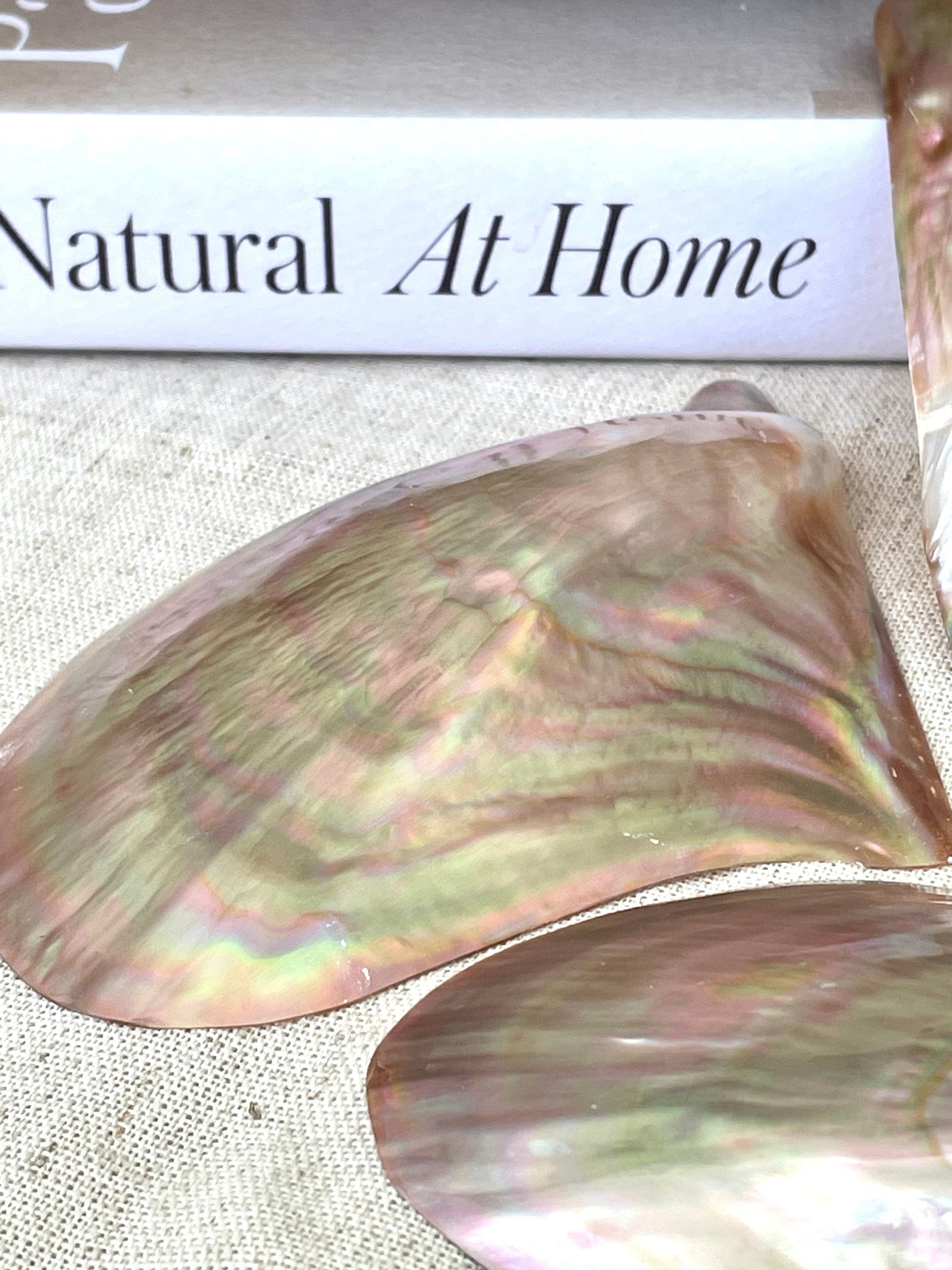 Iridescent Wing Oyster Shell: Brown Lip Mother of Pearl, Jewelry Pendant (2.5-6") - Image 7