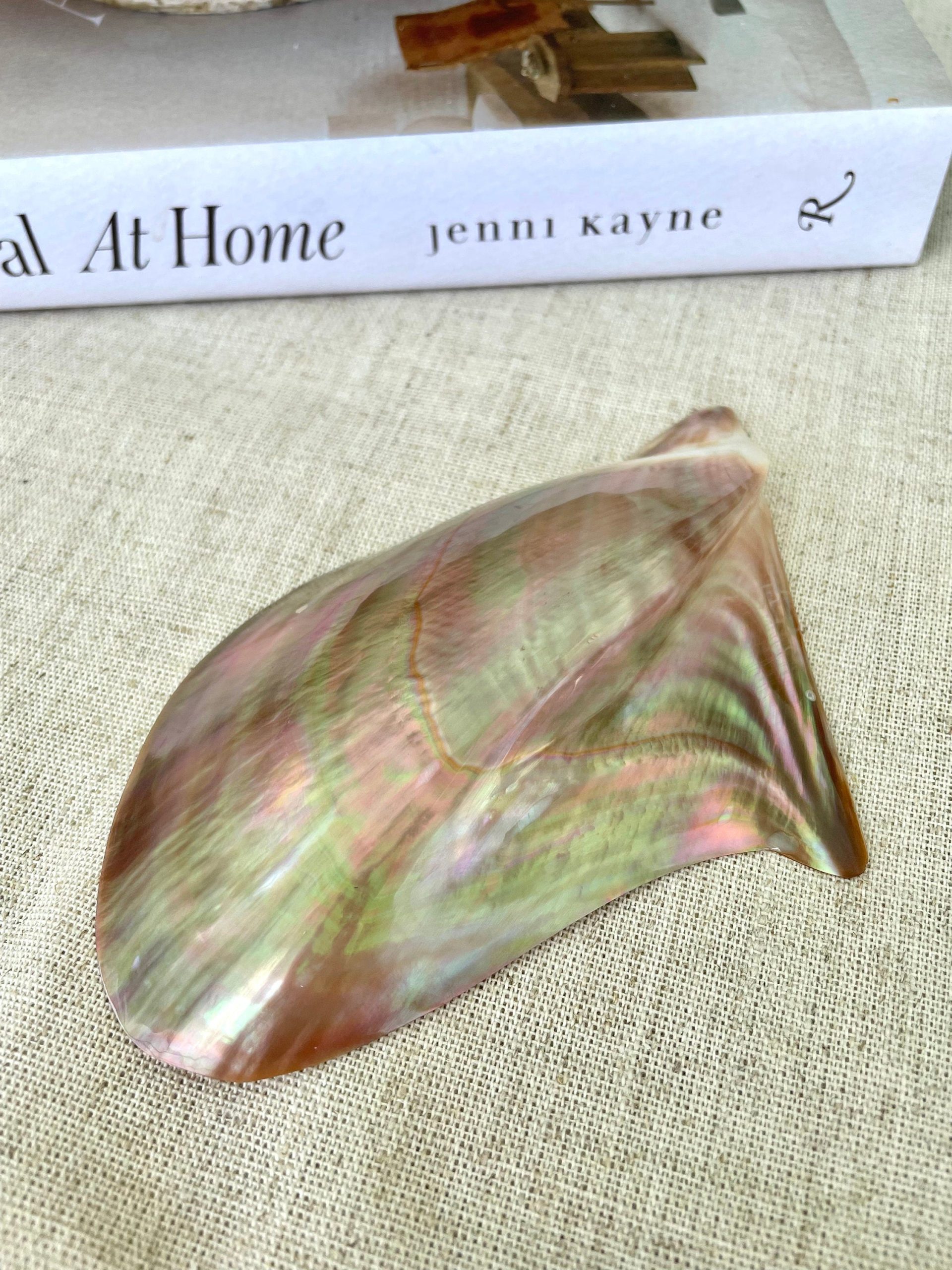 Iridescent Wing Oyster Shell: Brown Lip Mother of Pearl, Jewelry Pendant (2.5-6") - Image 4