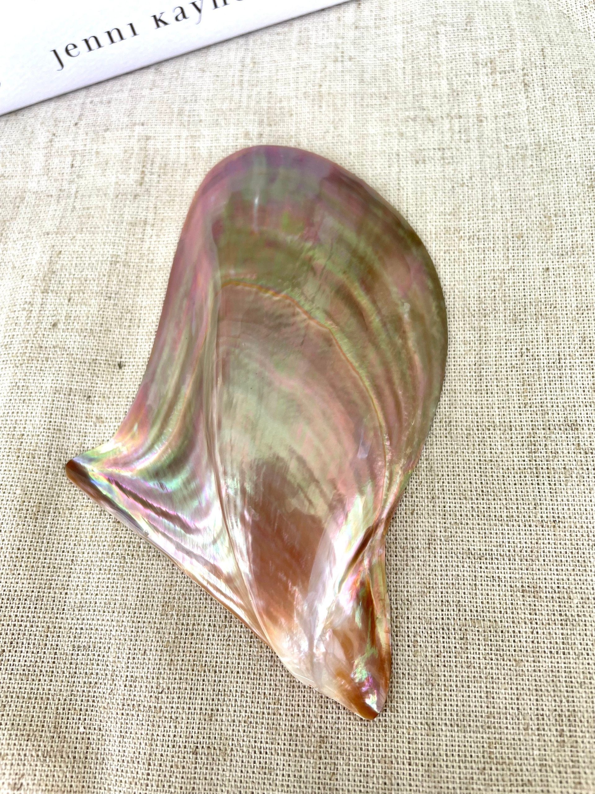 Iridescent Wing Oyster Shell: Brown Lip Mother of Pearl, Jewelry Pendant (2.5-6") - Image 5