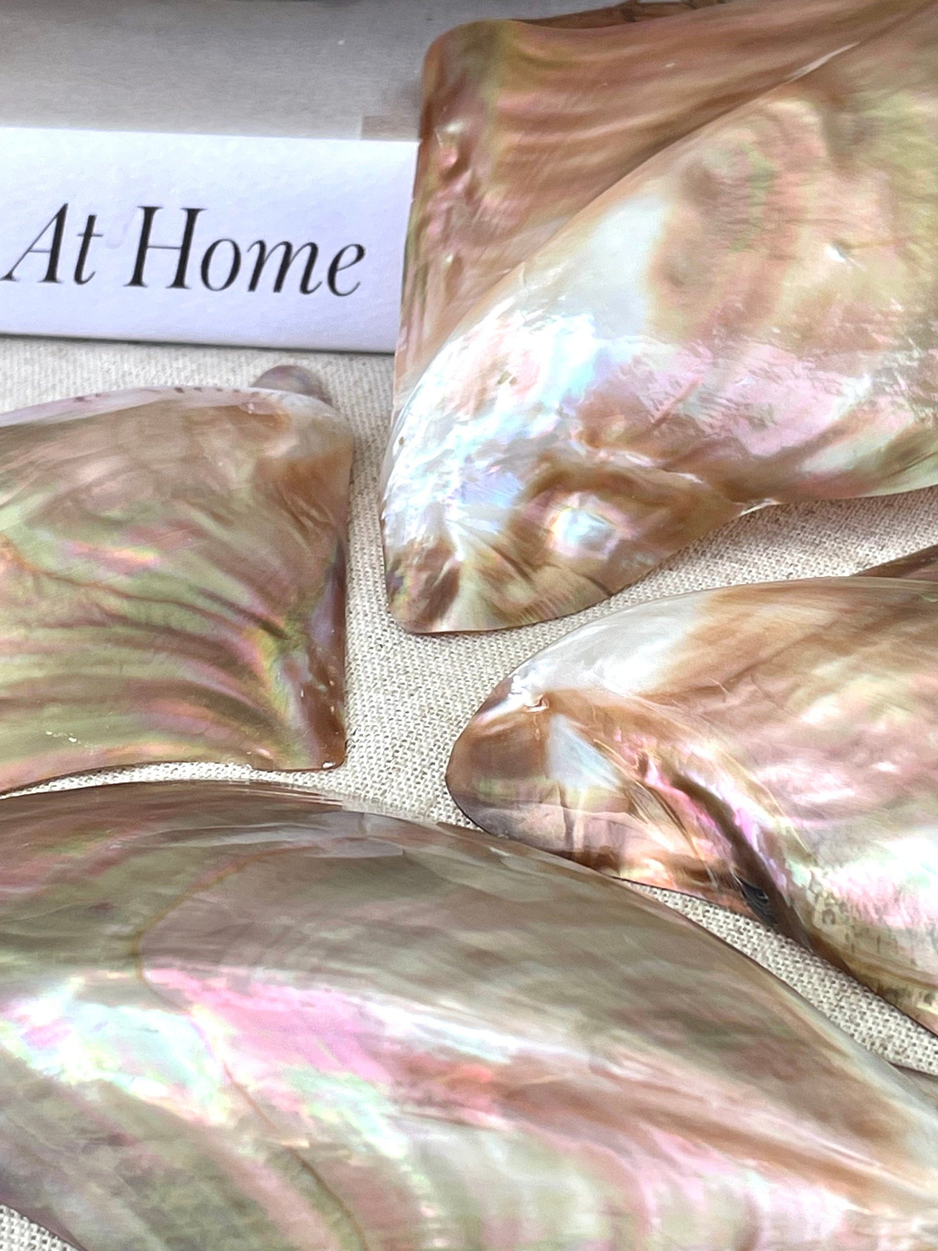 Iridescent Wing Oyster Shell: Brown Lip Mother of Pearl, Jewelry Pendant (2.5-6") - Image 9