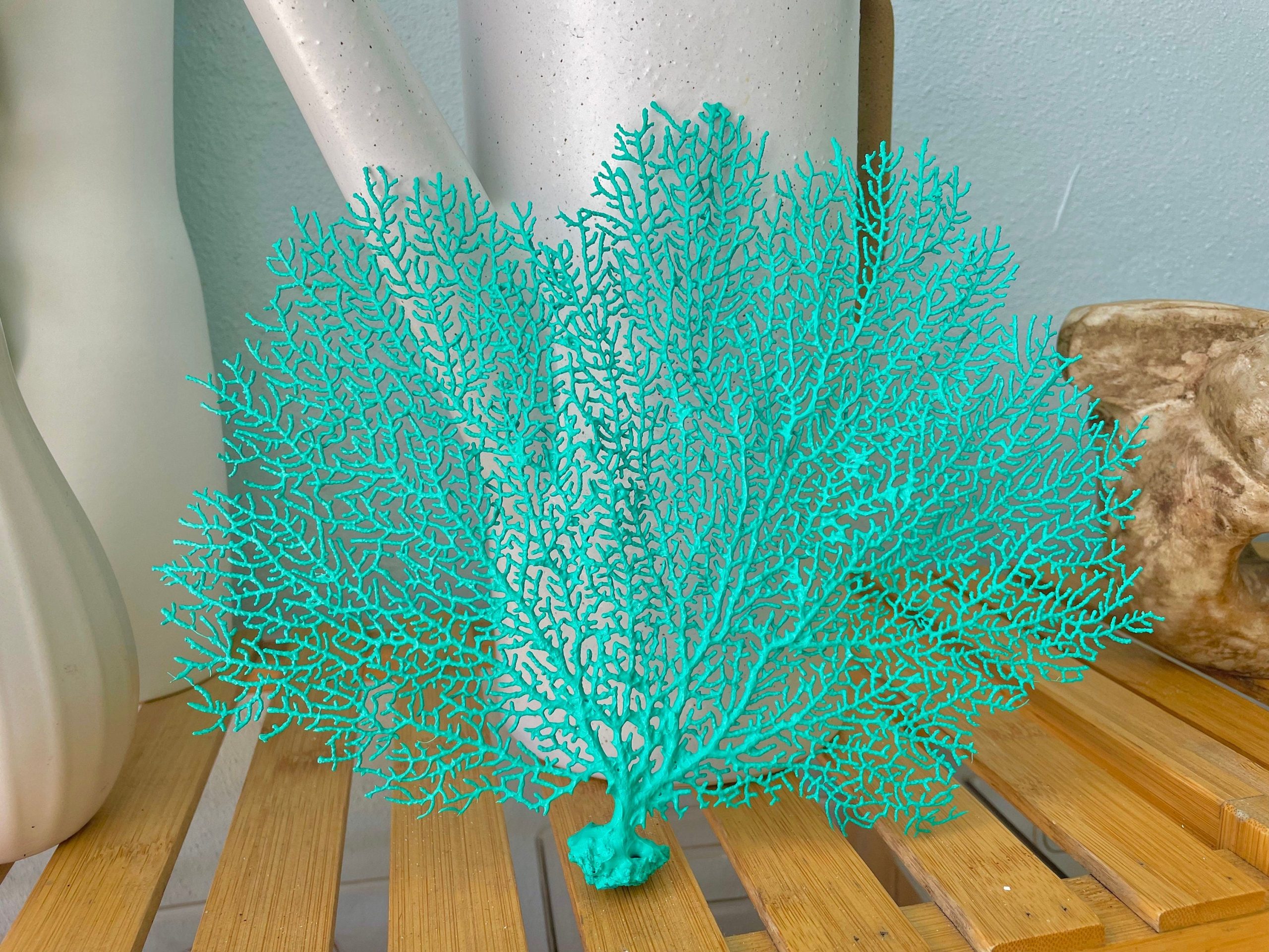 Aqua Sea Fan (8-20") *You Choose Size* Natural Hand Painted Coastal Décor - Image 3
