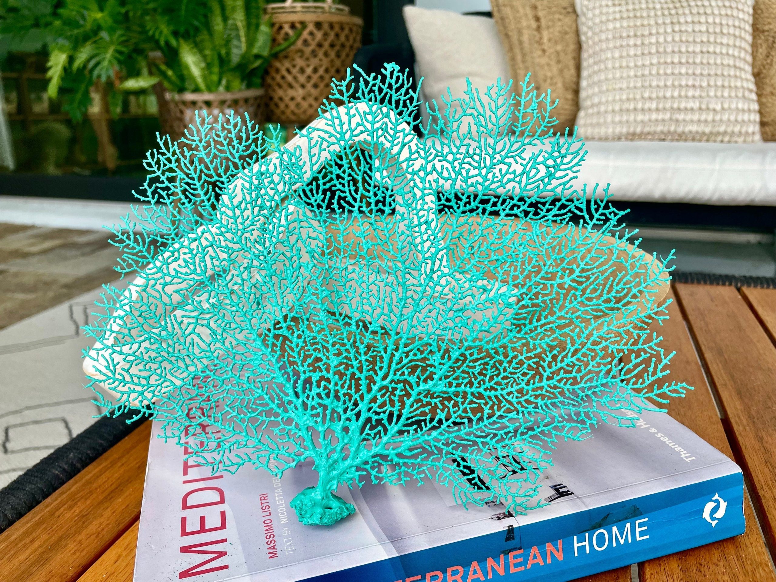 Aqua Sea Fan (8-20") *You Choose Size* Natural Hand Painted Coastal Décor - Image 4