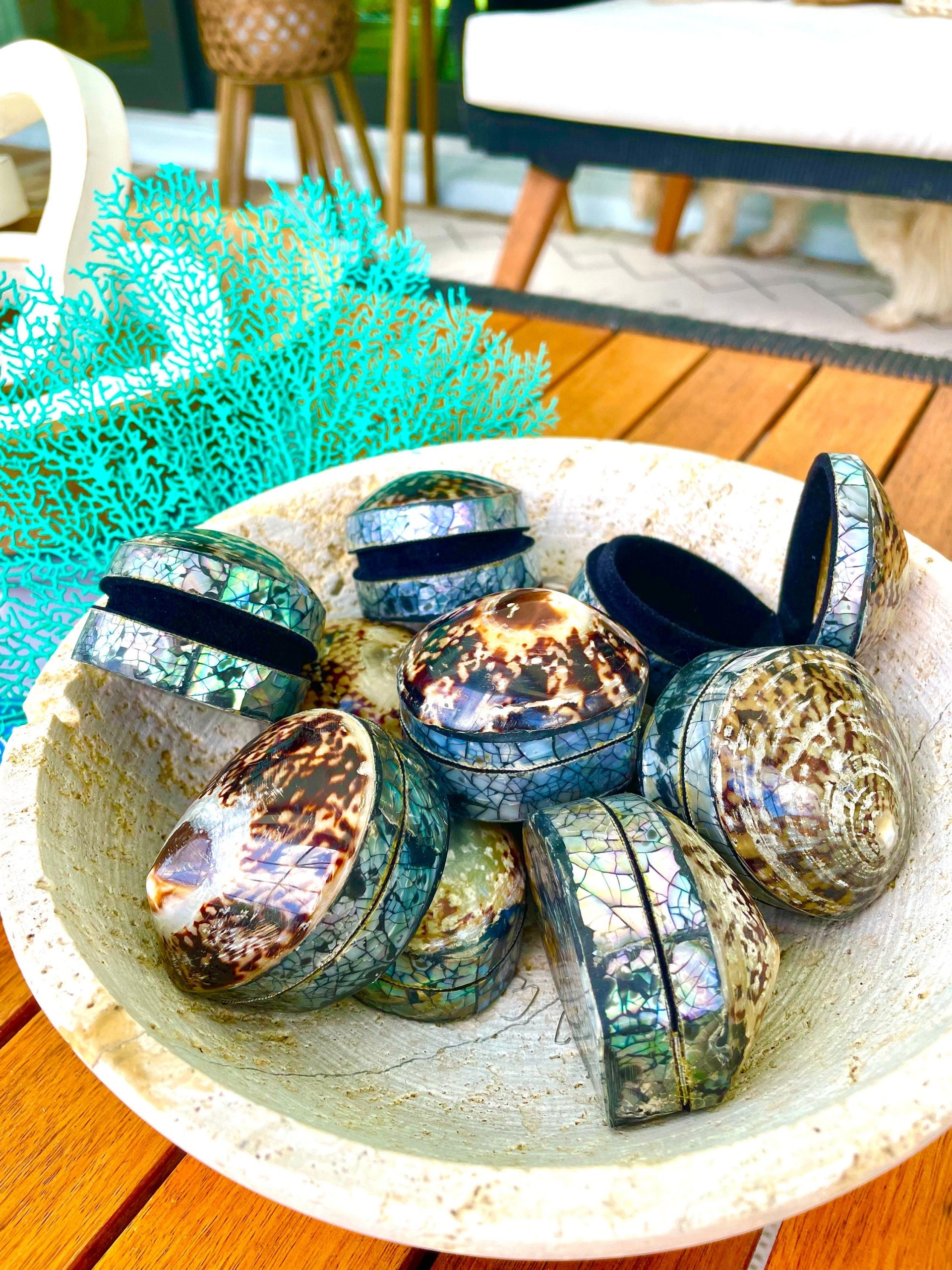 Aqua Sea Fan (8-20") *You Choose Size* Natural Hand Painted Coastal Décor - Image 8