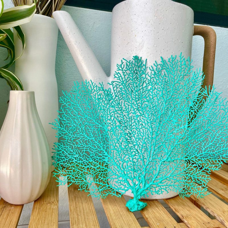 Aqua Sea Fan (8-20") *You Choose Size* Natural Hand Painted Coastal Décor