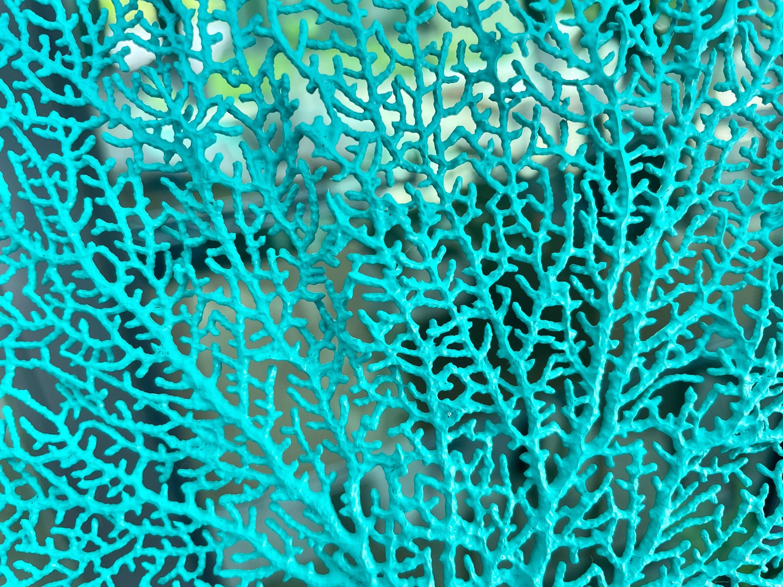 Aqua Sea Fan (8-20") *You Choose Size* Natural Hand Painted Coastal Décor - Image 6