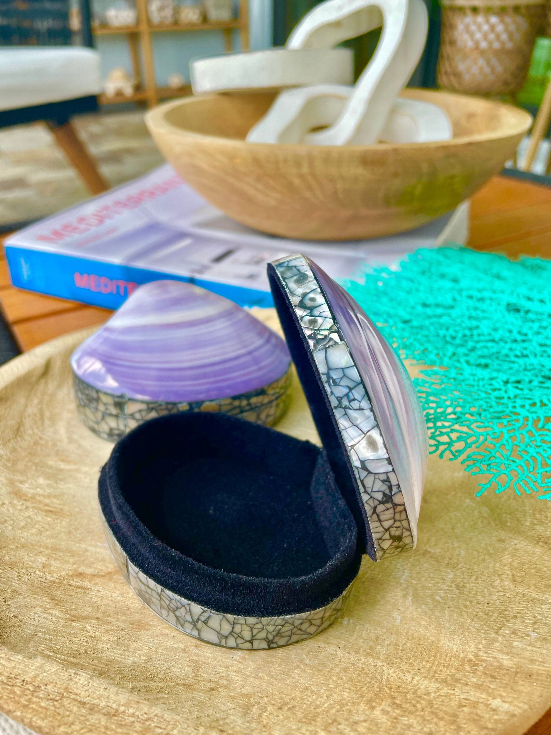 Aqua Sea Fan (8-20") *You Choose Size* Natural Hand Painted Coastal Décor - Image 7