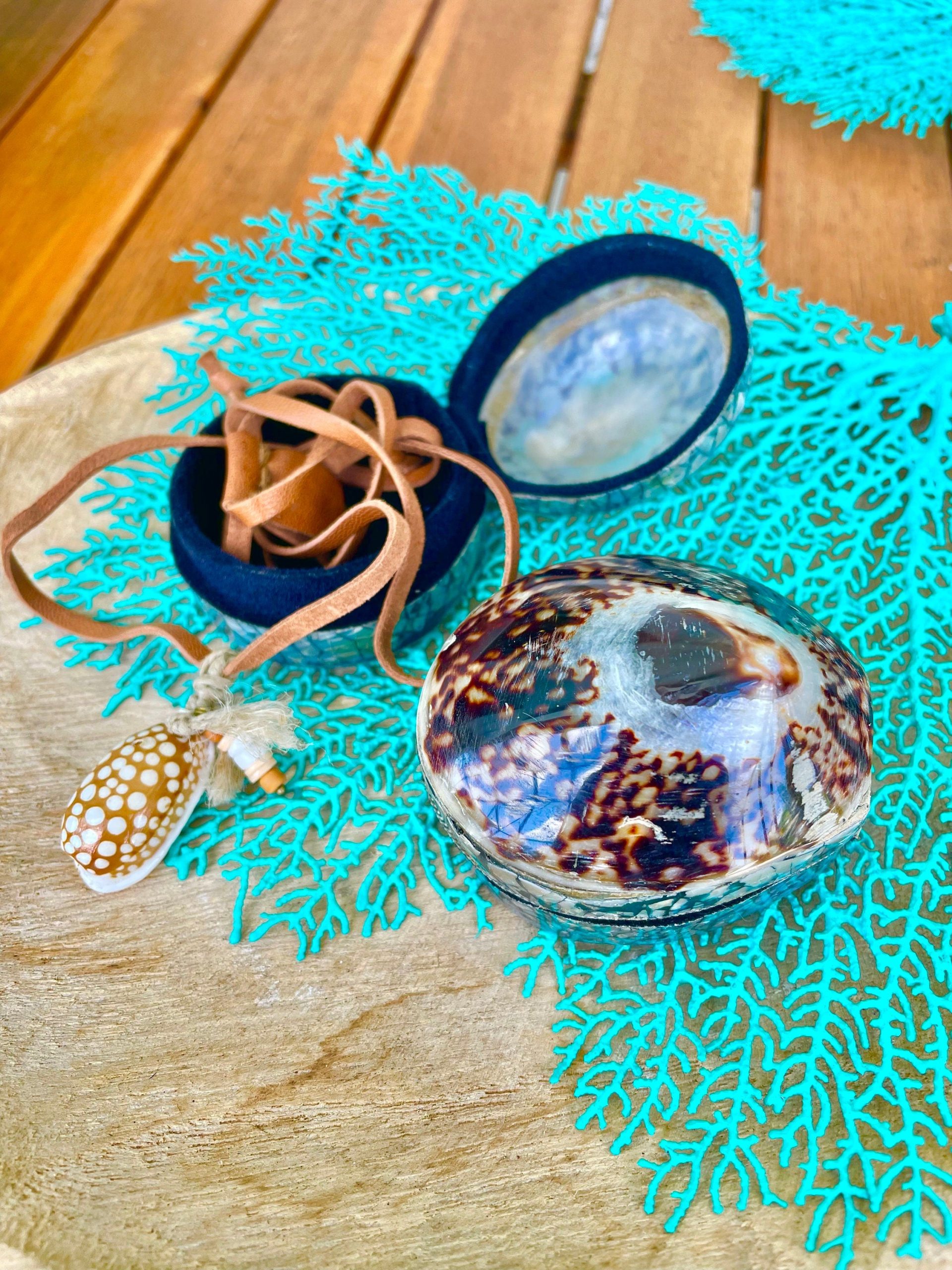 Aqua Sea Fan (8-20") *You Choose Size* Natural Hand Painted Coastal Décor - Image 9