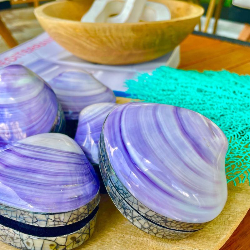 Coastal Gift Box Purple Clam 3.5" Mermaid Shell Irredescent Seashell Jewelry