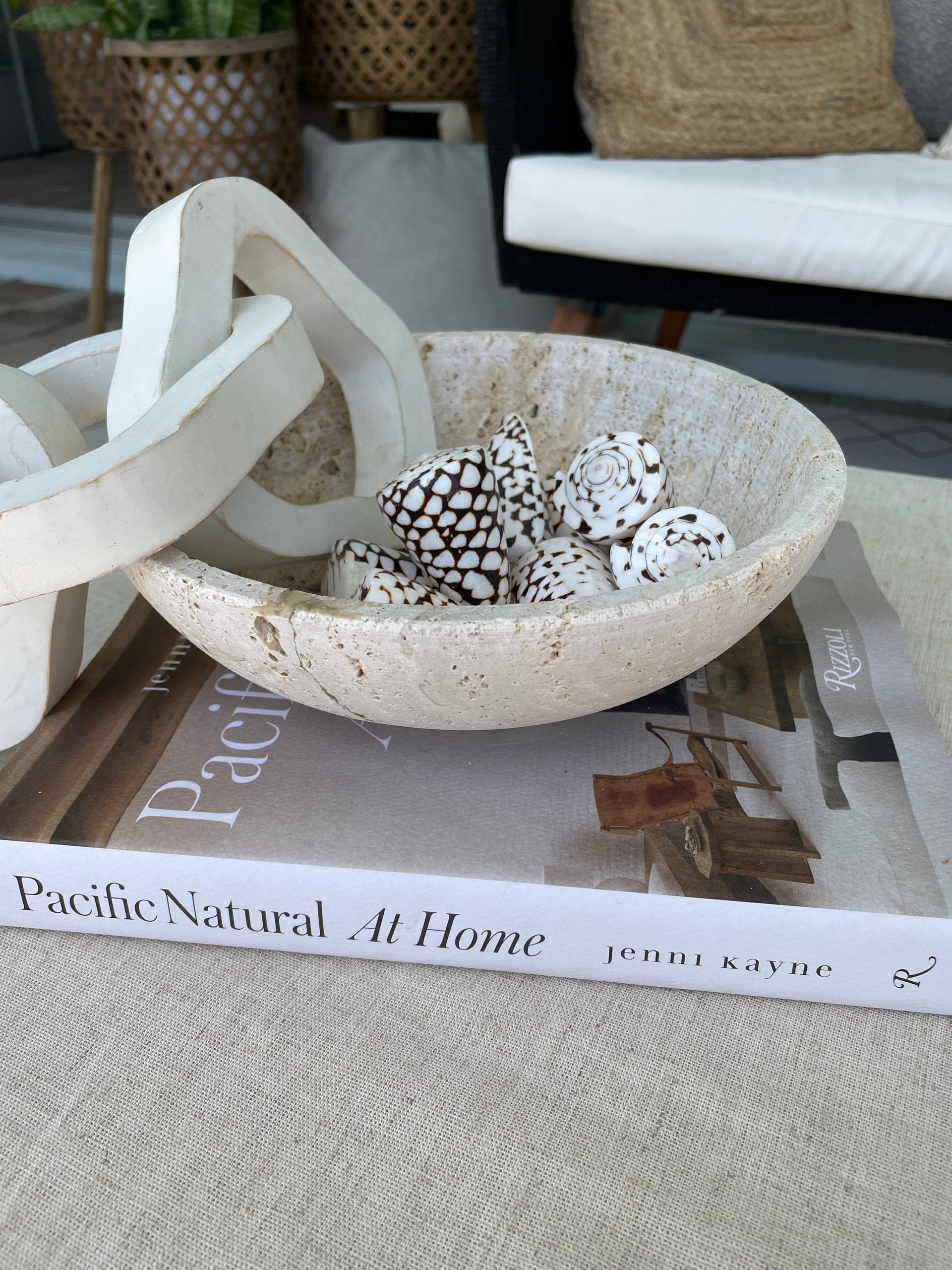 MARBLE CONE SHELLS *All Sizes* Natural White Brown Spots Modern Décor Seashell - Image 7