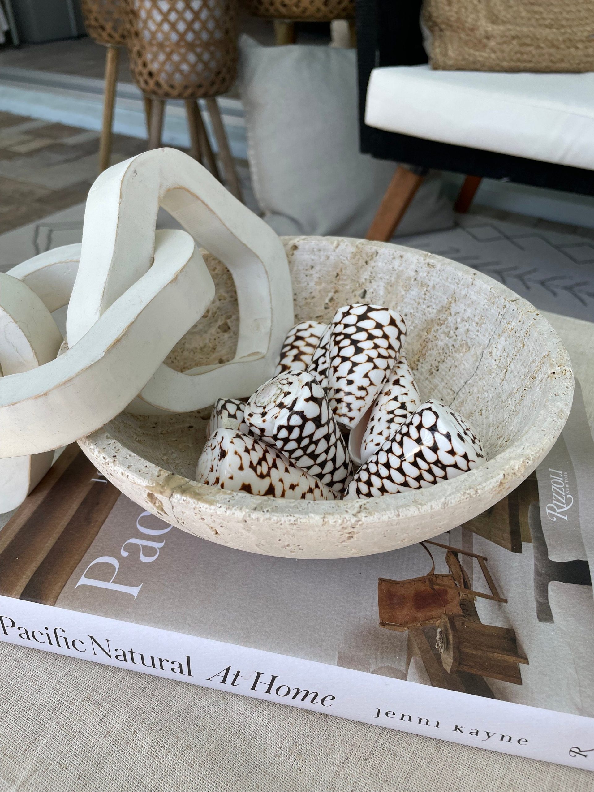 MARBLE CONE SHELLS *All Sizes* Natural White Brown Spots Modern Décor Seashell - Image 9