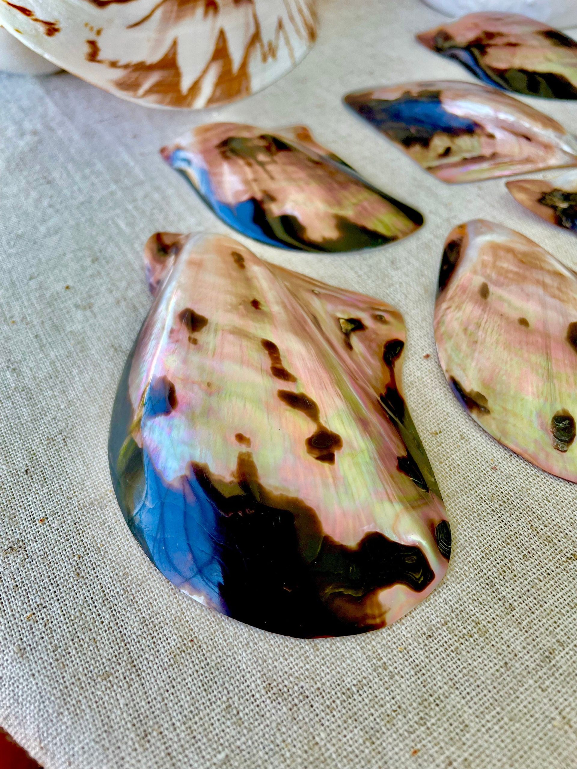 Brown Lip Mother of Pearl Polished Oyster Shell, 4-5" Wing Shaped Craft Seashell - Image 5