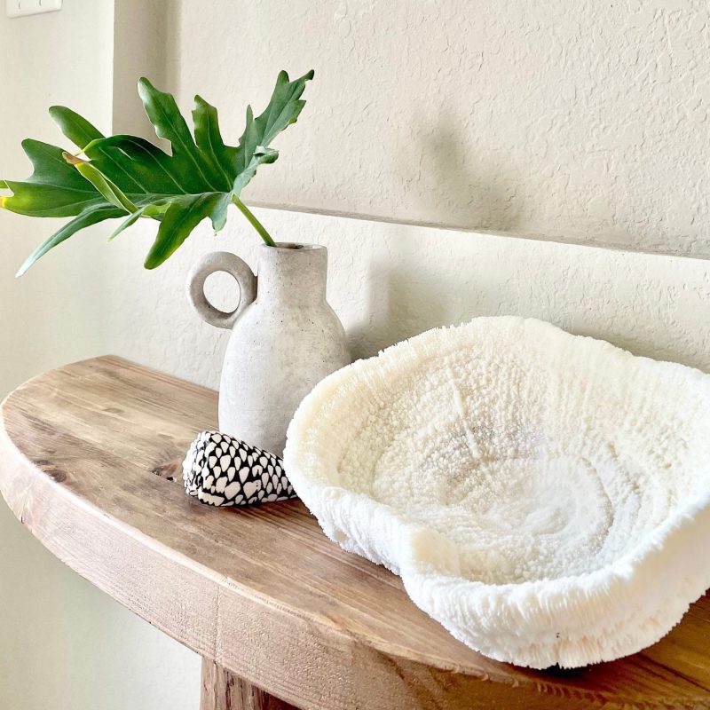 BOWL CORAL White *All Sizes* Authentic Natural Real Sea Fossil Coastal Décor