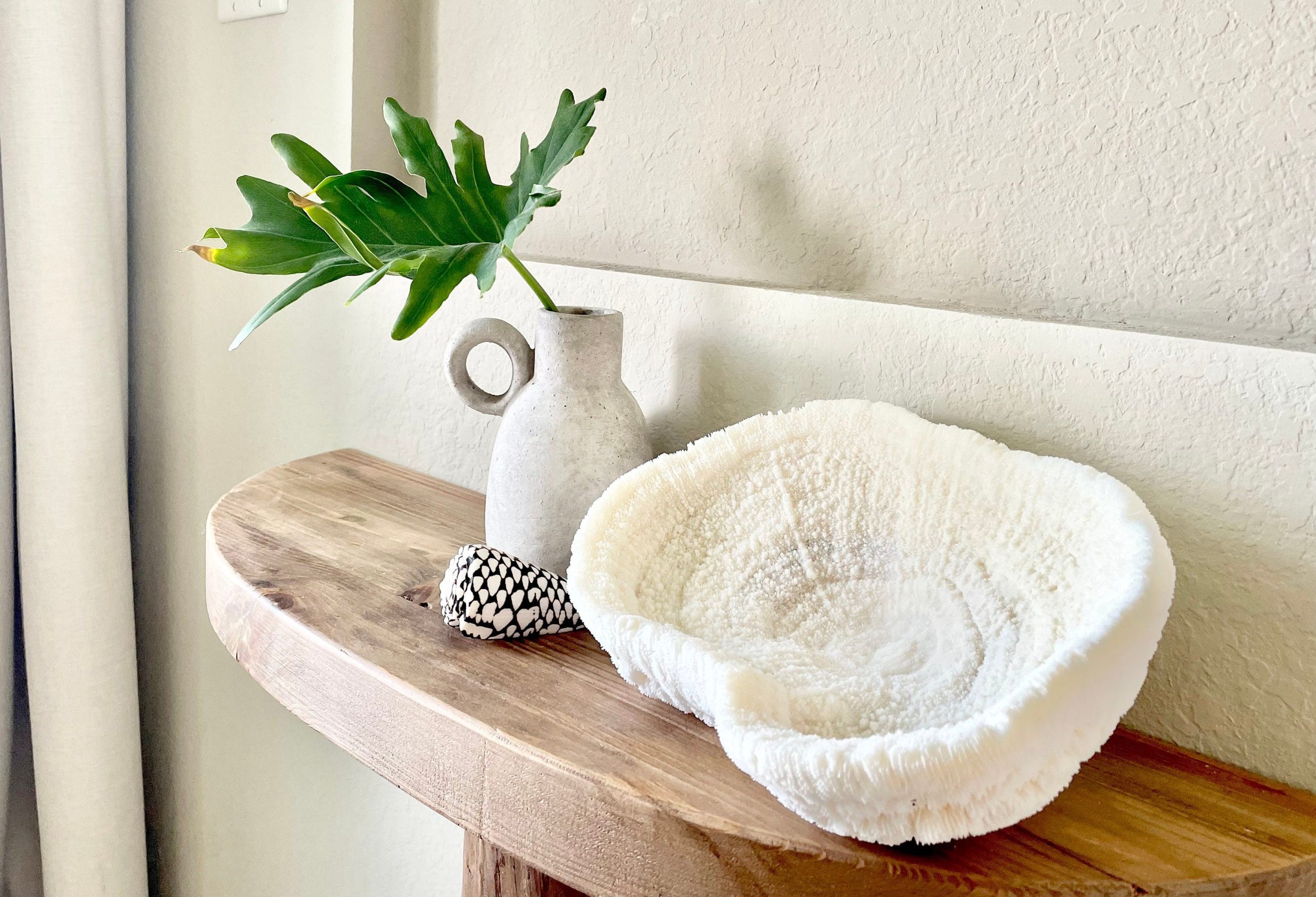 BOWL CORAL White *All Sizes* Authentic Natural Real Sea Fossil Coastal Décor