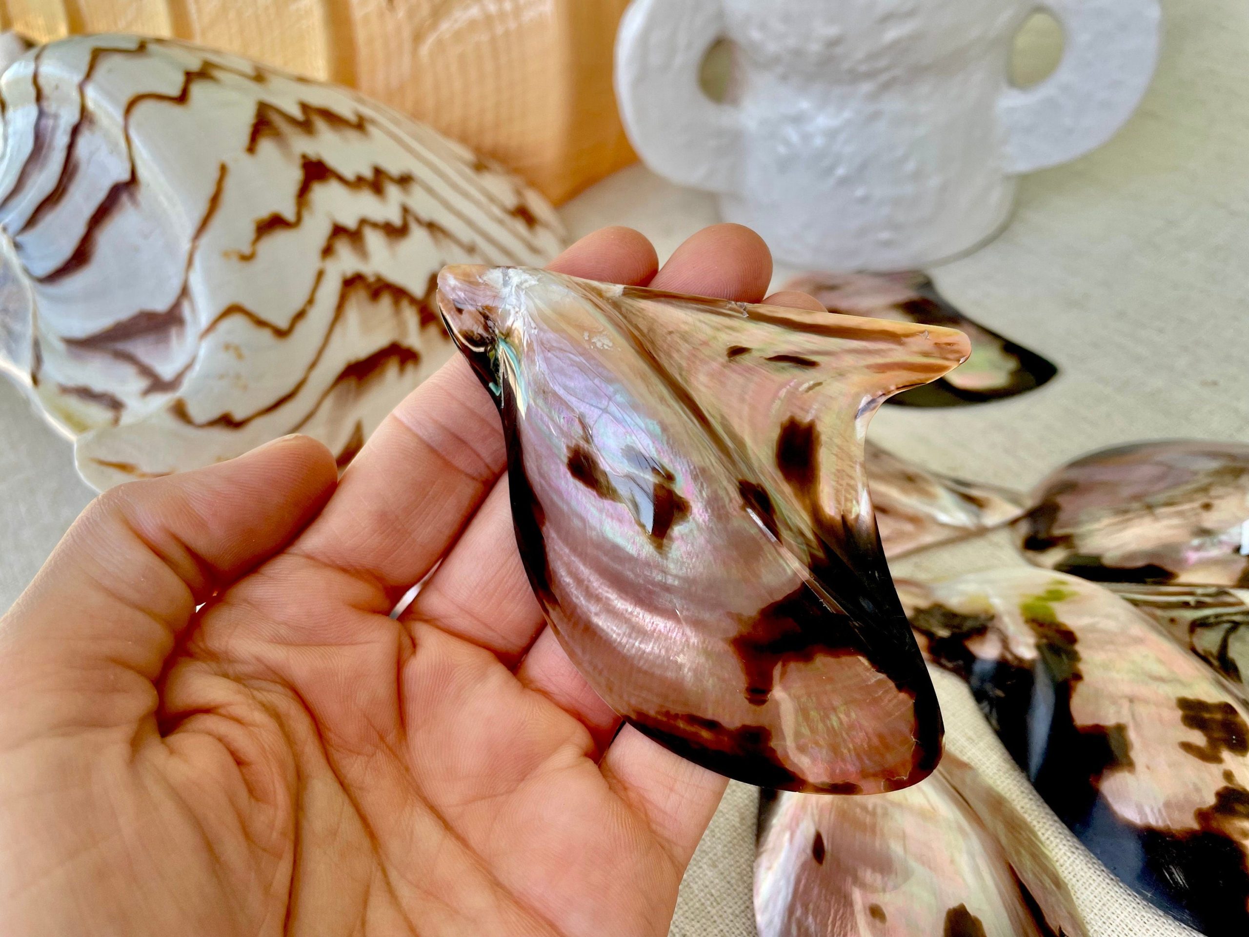 Brown Lip Mother of Pearl Polished Oyster Shell, 4-5" Wing Shaped Craft Seashell - Image 2