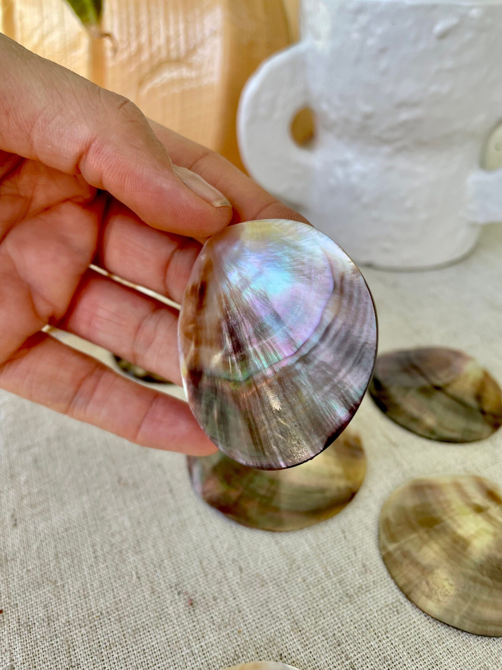 Set of 3 Brown Lip Mother of Pearl Shells, Polished Coastal Decor (1-1.5 inch) - Image 9