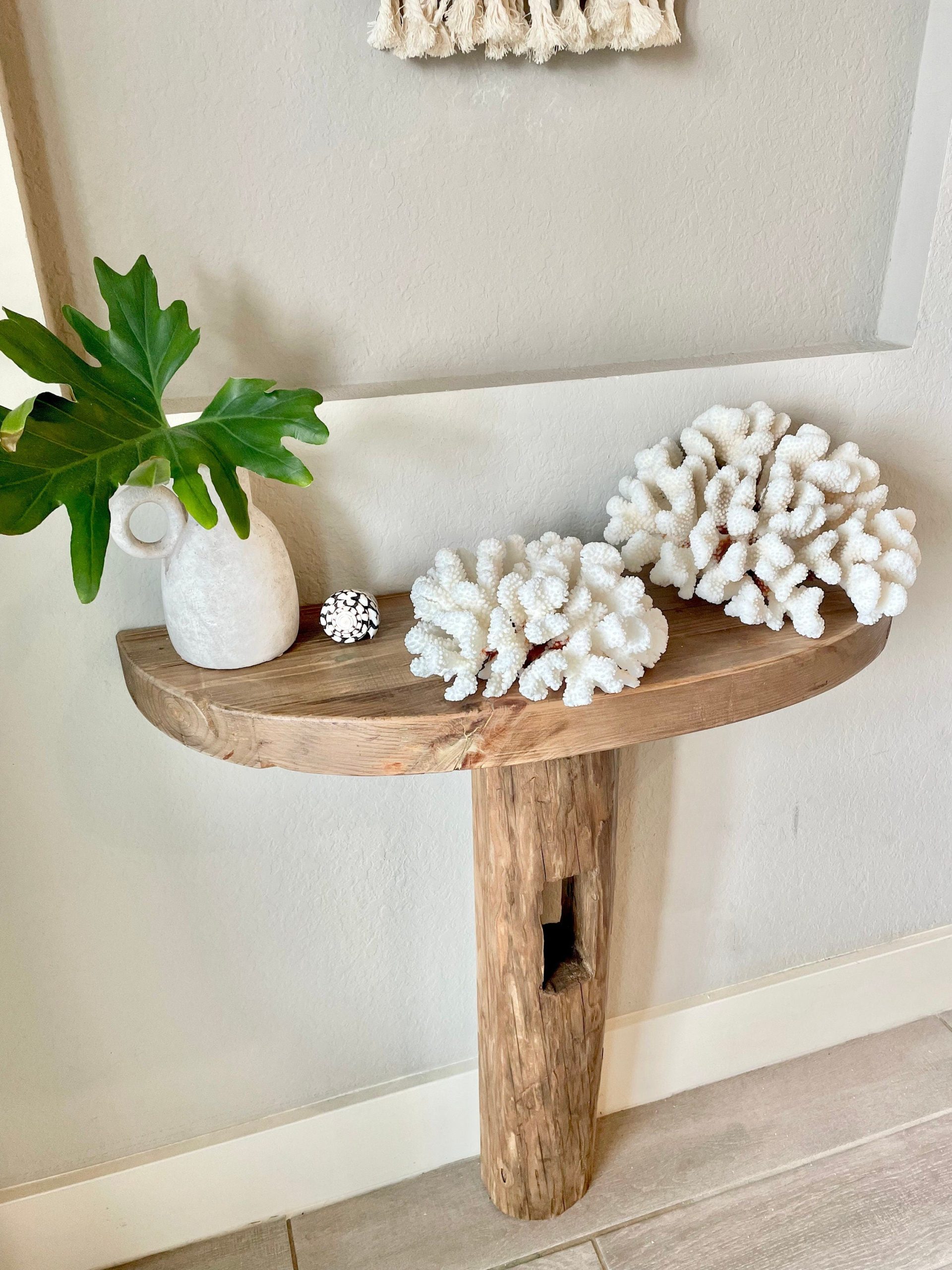 CLUSTER Coral White *All Sizes* Authentic Natural Real Sea Fossil Coastal Décor - Image 7