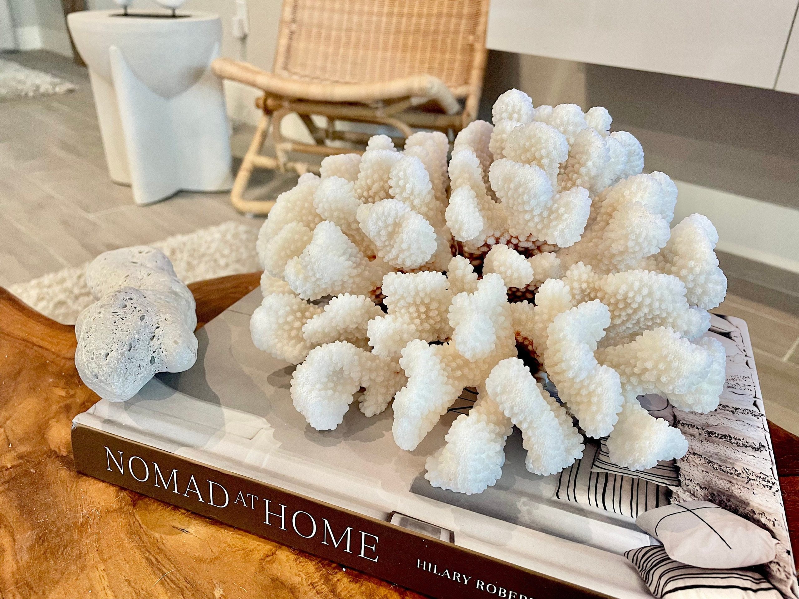 CLUSTER Coral White *All Sizes* Authentic Natural Real Sea Fossil Coastal Décor - Image 9