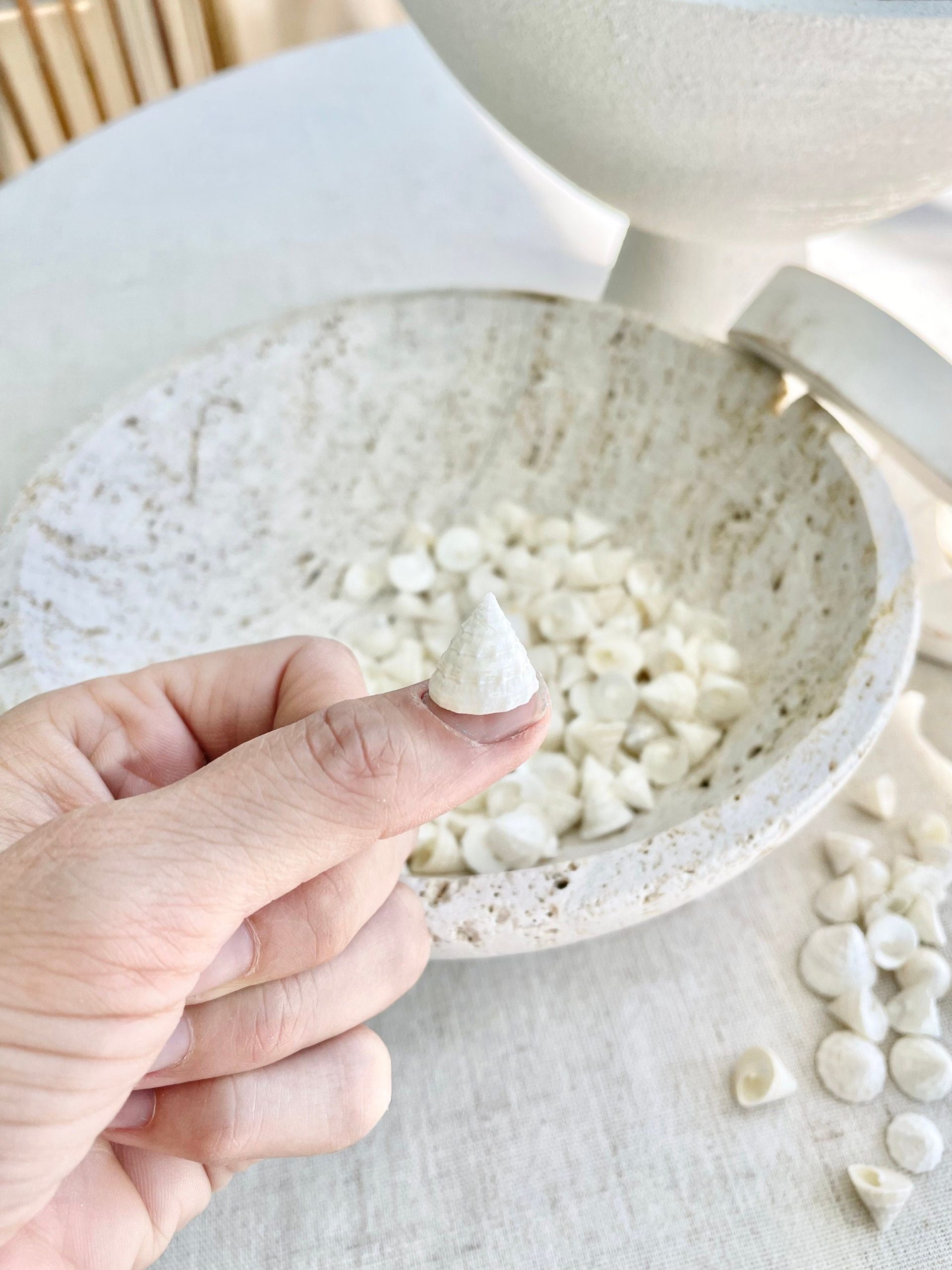 Pearlized Trochus Seashells 1/2 -3/4" Small Craft Shells Coastal Décor - Image 3