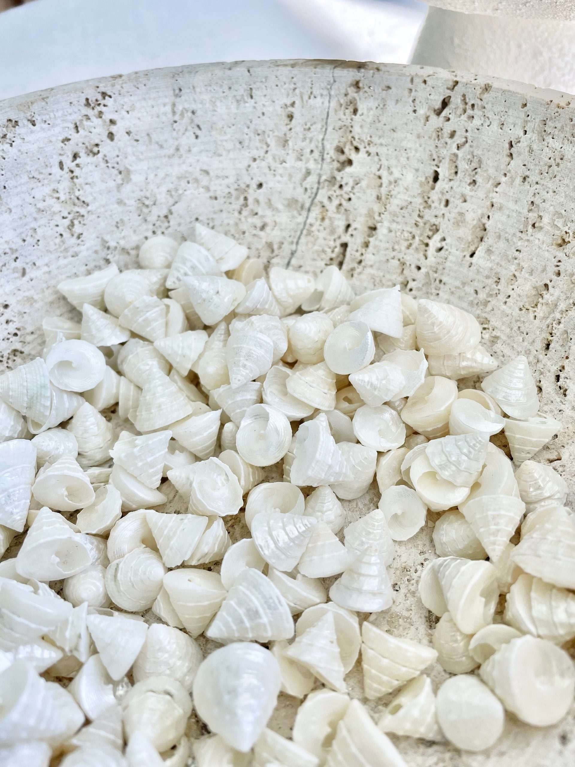 Pearlized Trochus Seashells 1/2 -3/4" Small Craft Shells Coastal Décor - Image 5