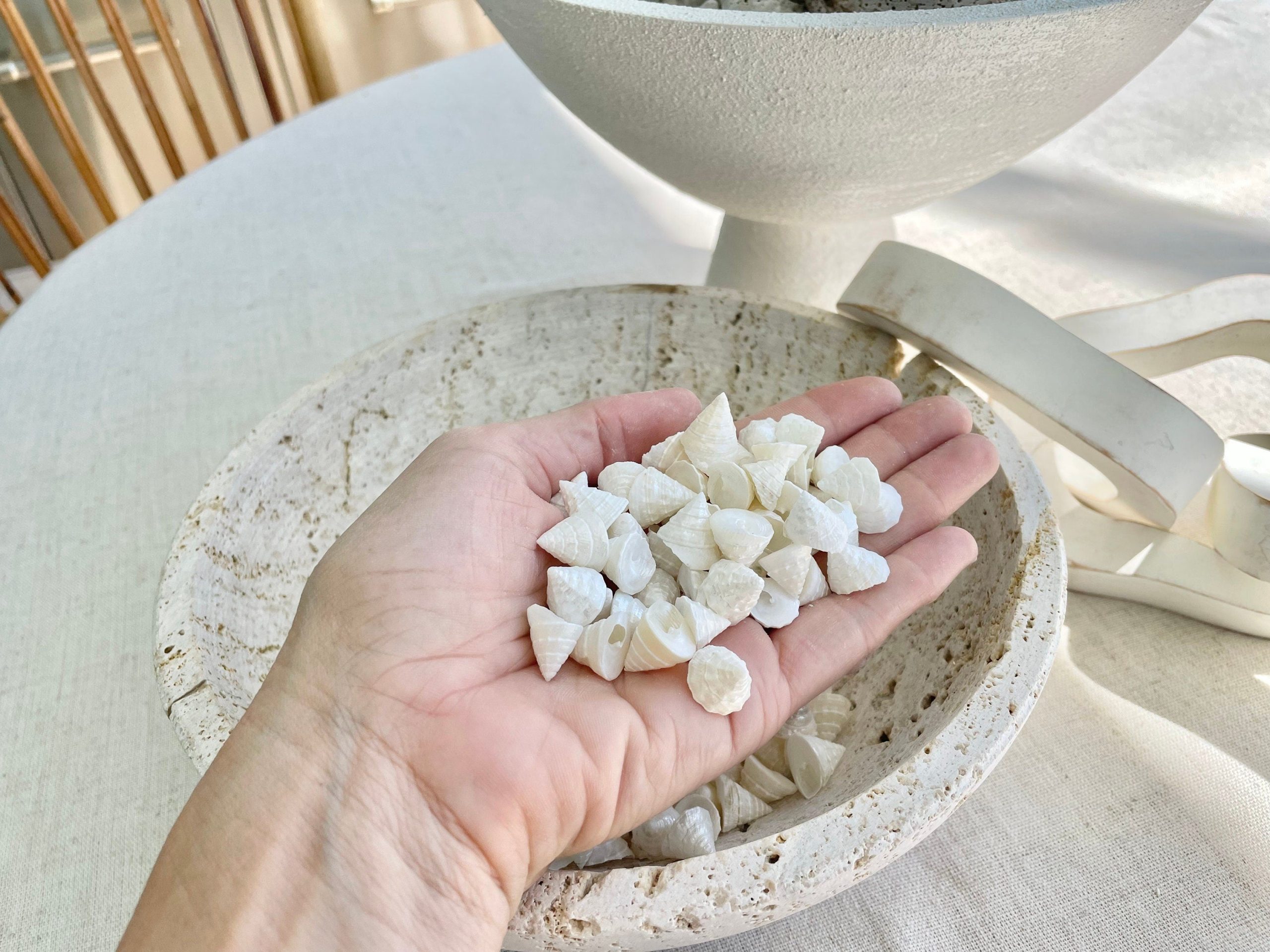 Pearlized Trochus Seashells 1/2 -3/4" Small Craft Shells Coastal Décor - Image 2