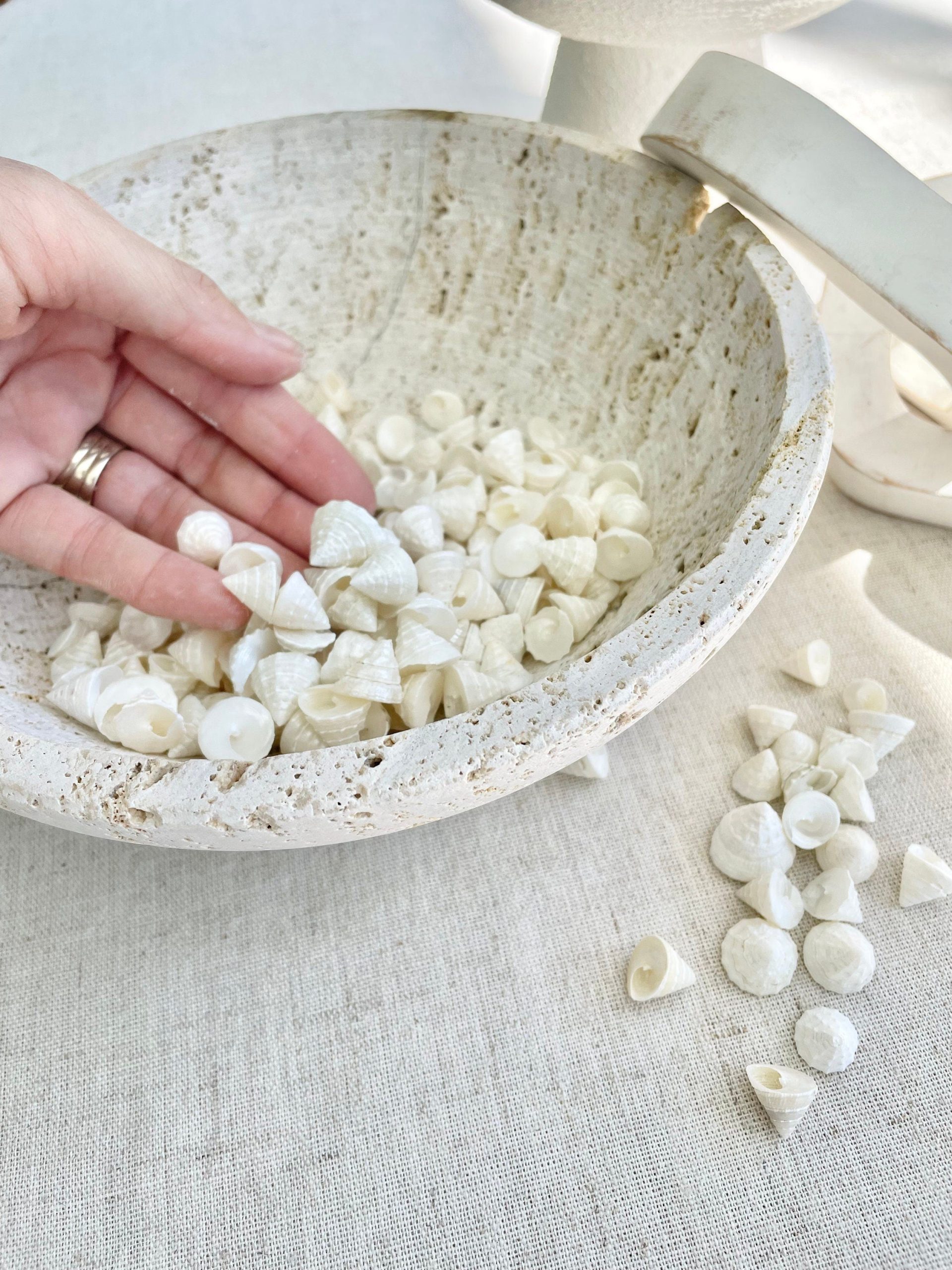 Pearlized Trochus Seashells 1/2 -3/4" Small Craft Shells Coastal Décor - Image 6