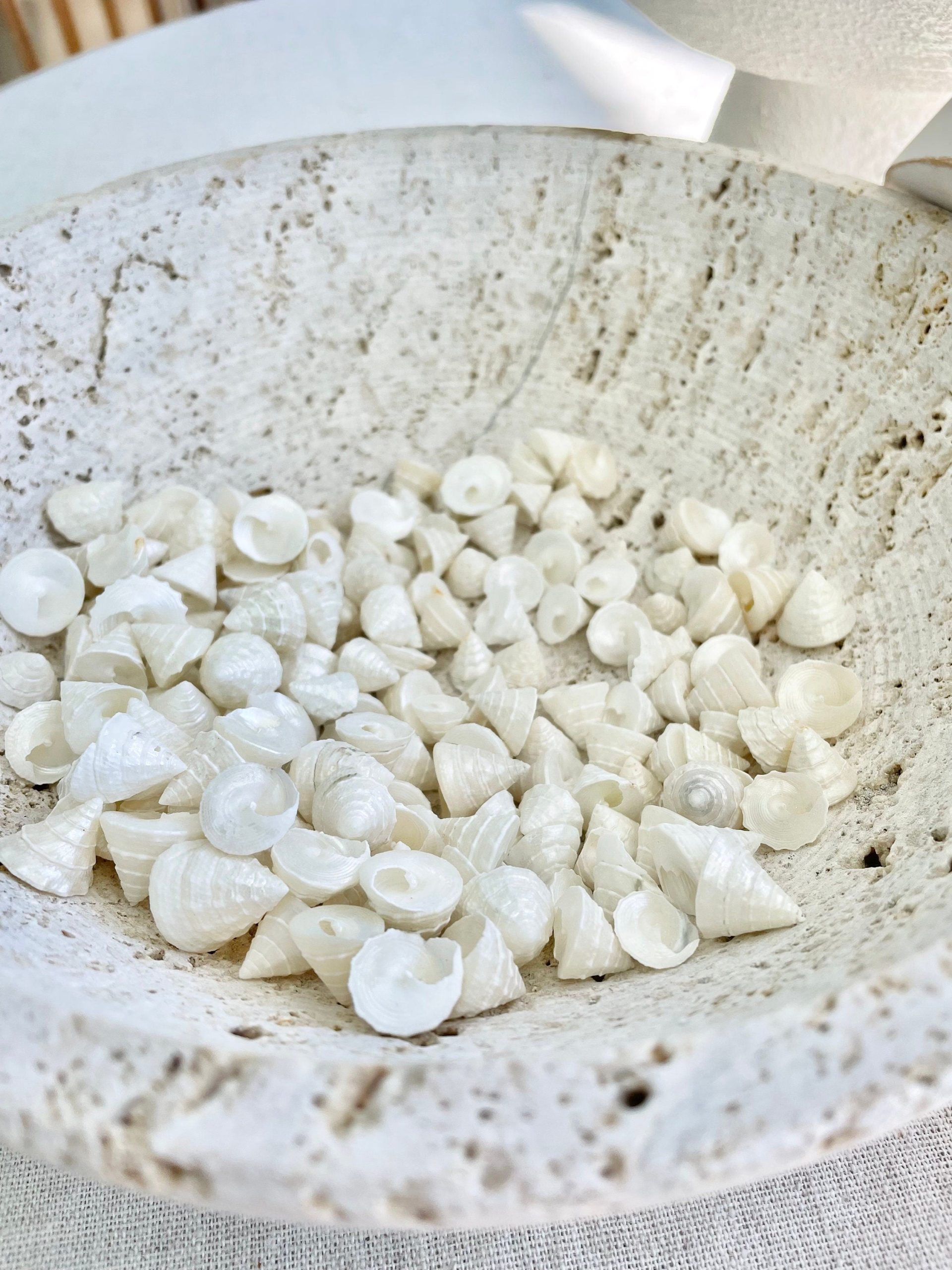 Pearlized Trochus Seashells 1/2 -3/4" Small Craft Shells Coastal Décor - Image 8