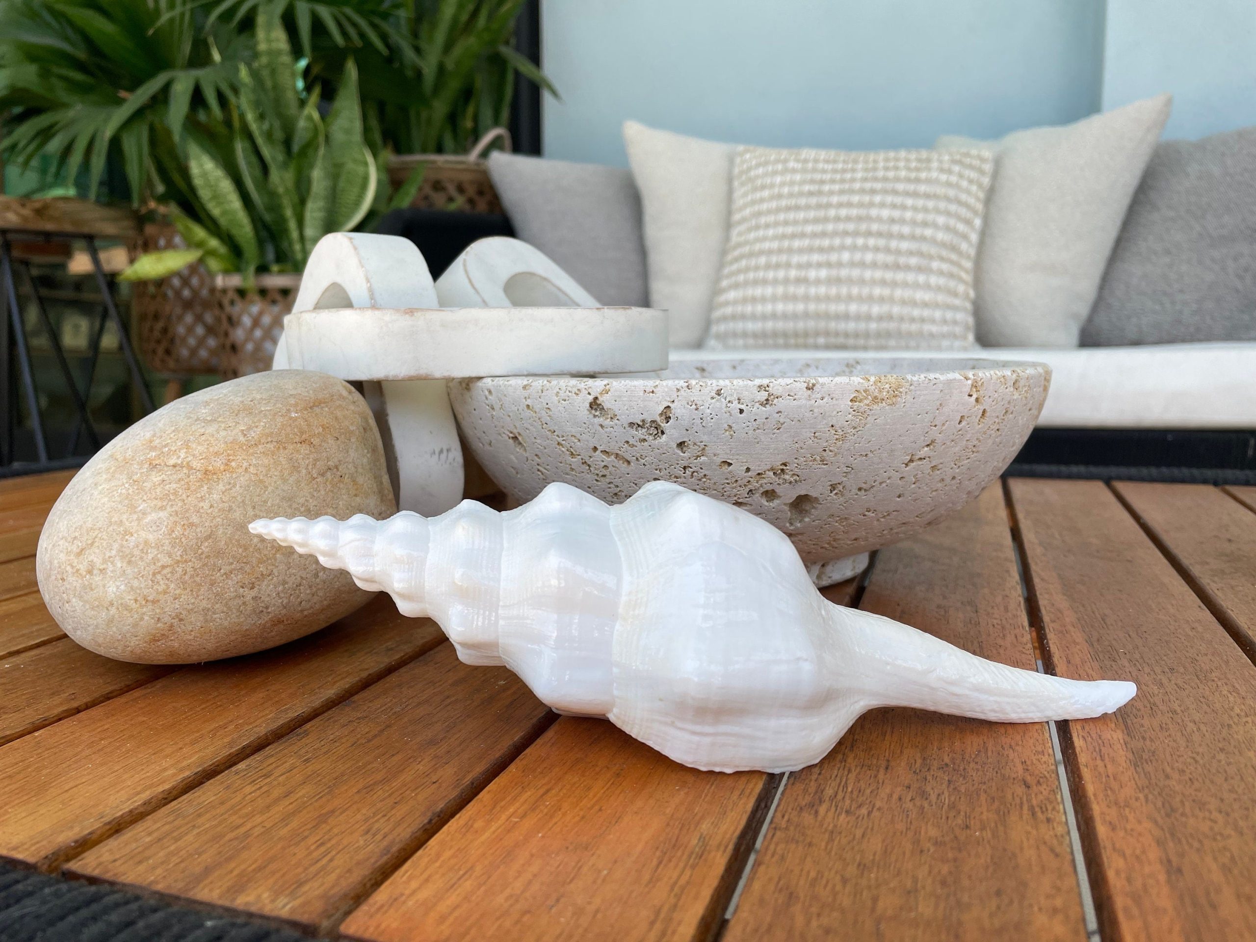 WAVY SPINDLE SHELLS: 6-8" White Display Conch Seashell Coastal Beach Décor - Image 4
