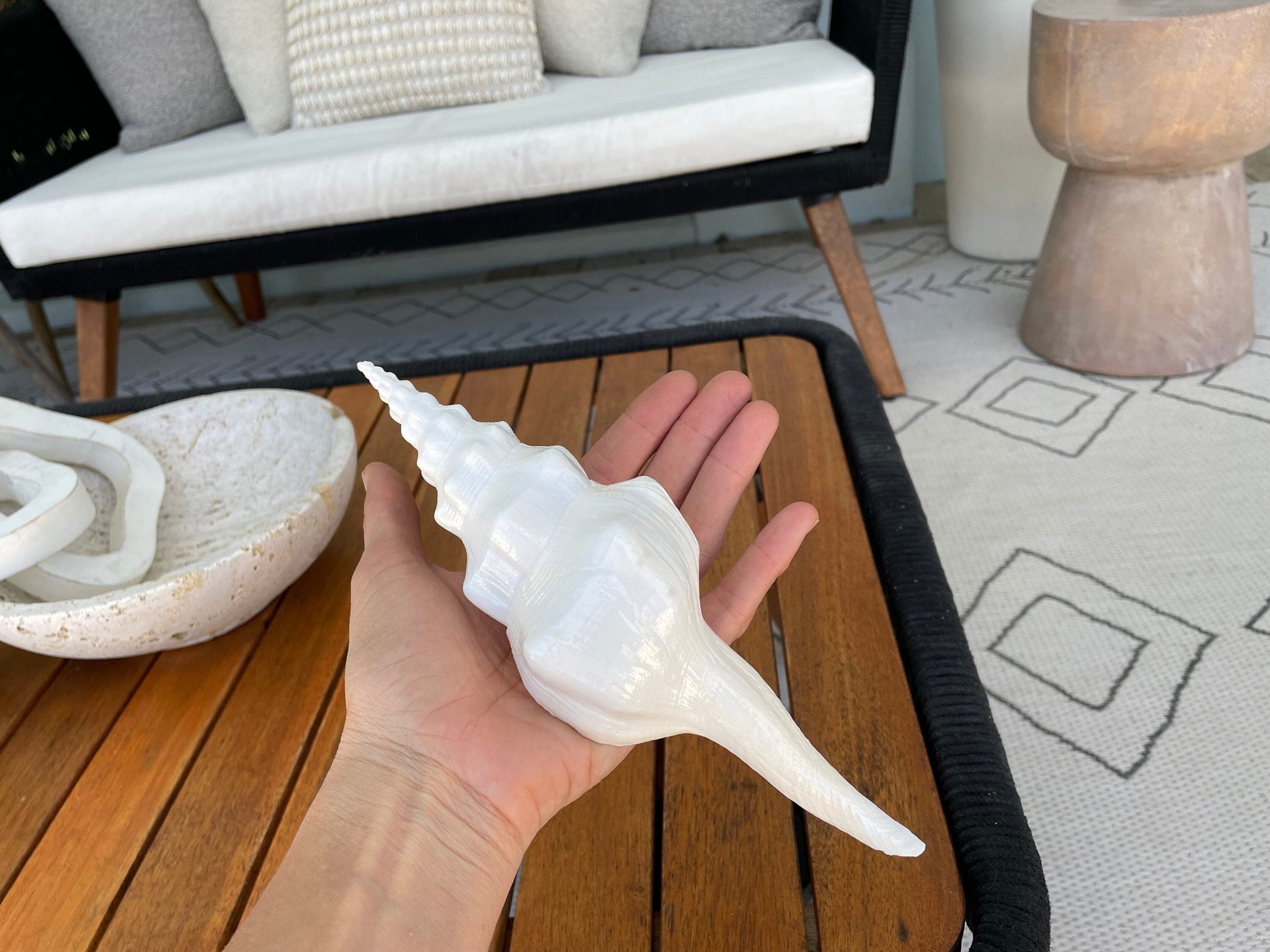 WAVY SPINDLE SHELLS: 6-8" White Display Conch Seashell Coastal Beach Décor
