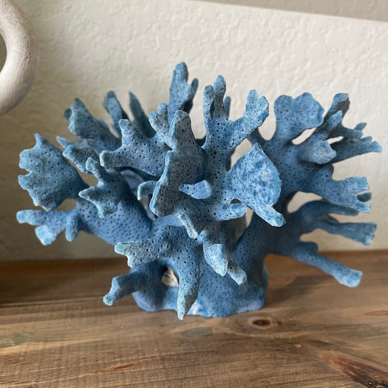 BLUE RIDGE Coral *All Sizes* Authentic Natural Real Sea Fossil Coastal Décor