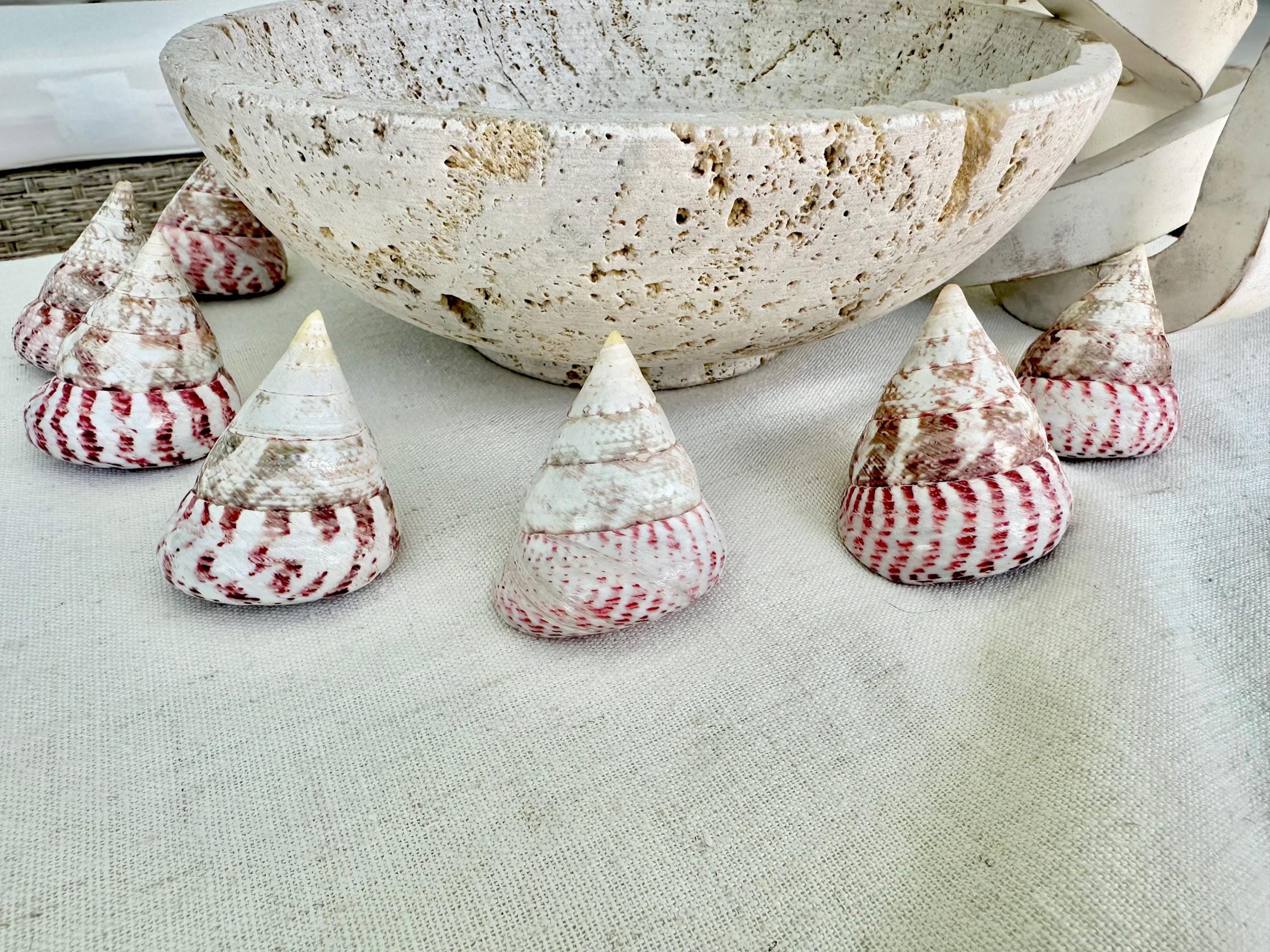 STRAWBERRY PINK TROCHUS 2-2.5" Polished Shells *Set of 3* Display Pyramid Top Seashells - Image 6