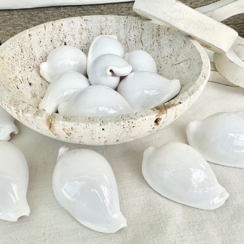 WHITE EGG COWRIE Shells *All Sizes* Craft Seashell Coastal Beach Home Décor