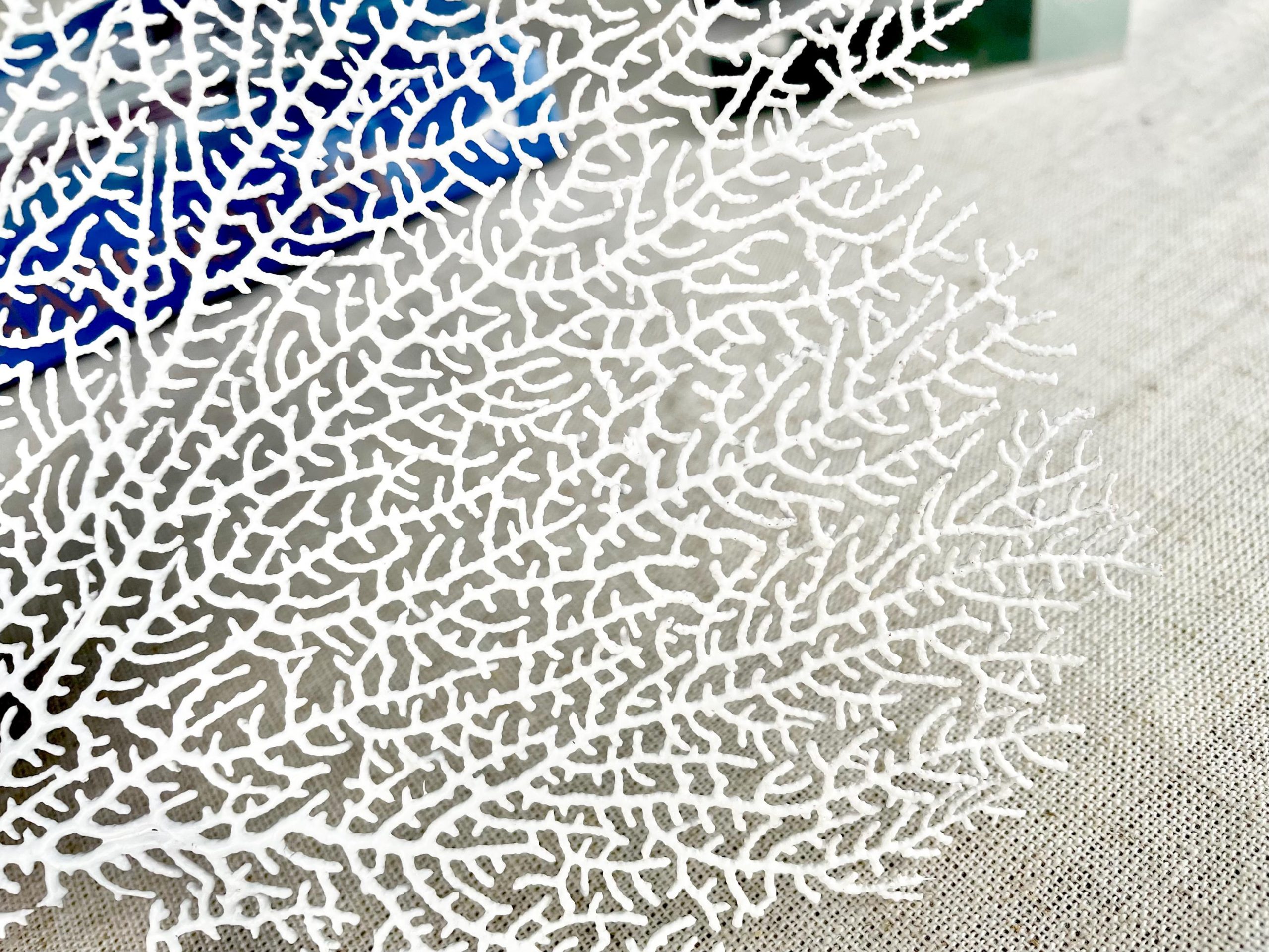 White Sea Fan (8-20") *You Choose Size* Natural Hand Painted Coastal Décor - Image 5