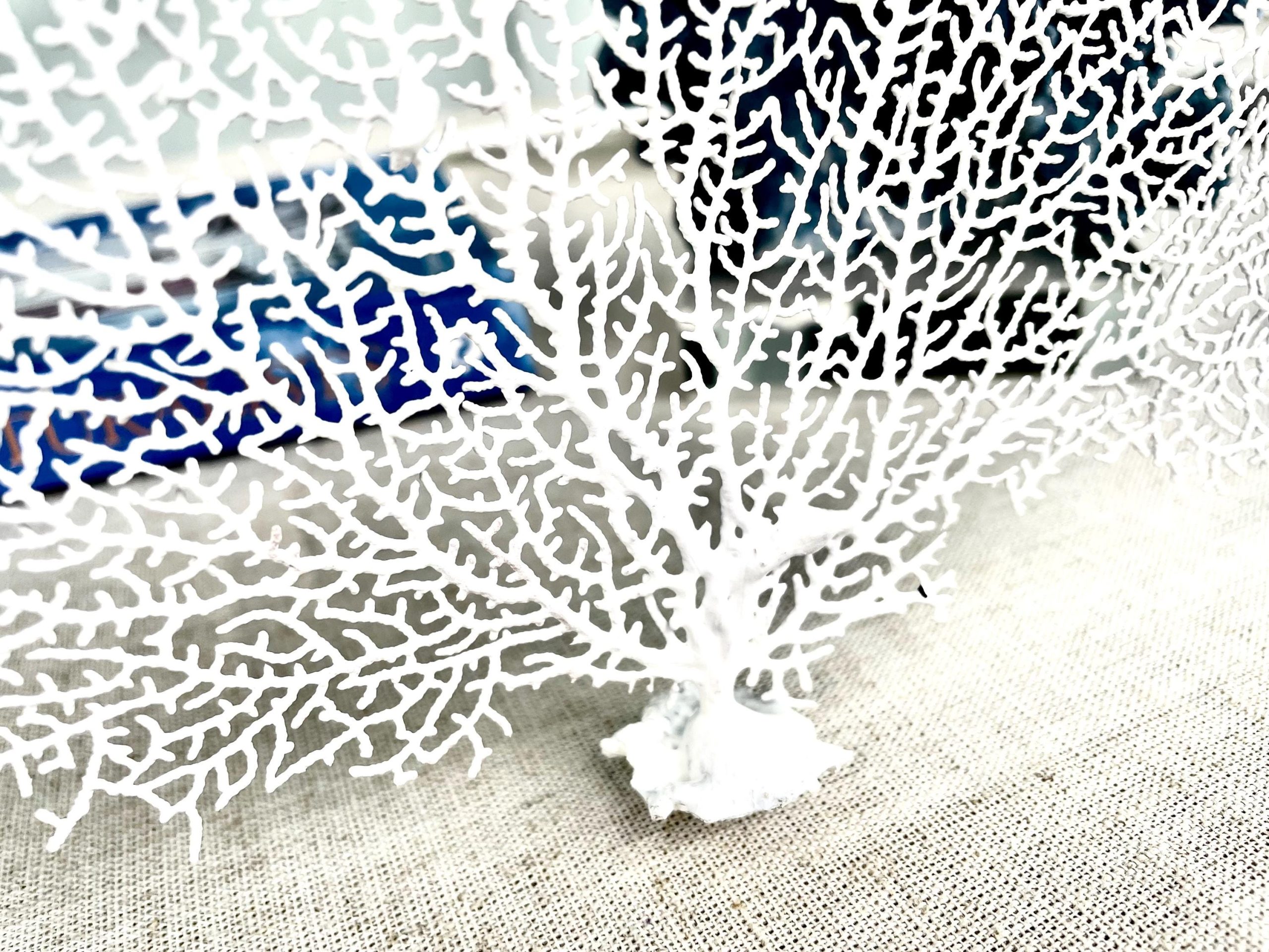 White Sea Fan (8-20") *You Choose Size* Natural Hand Painted Coastal Décor - Image 6