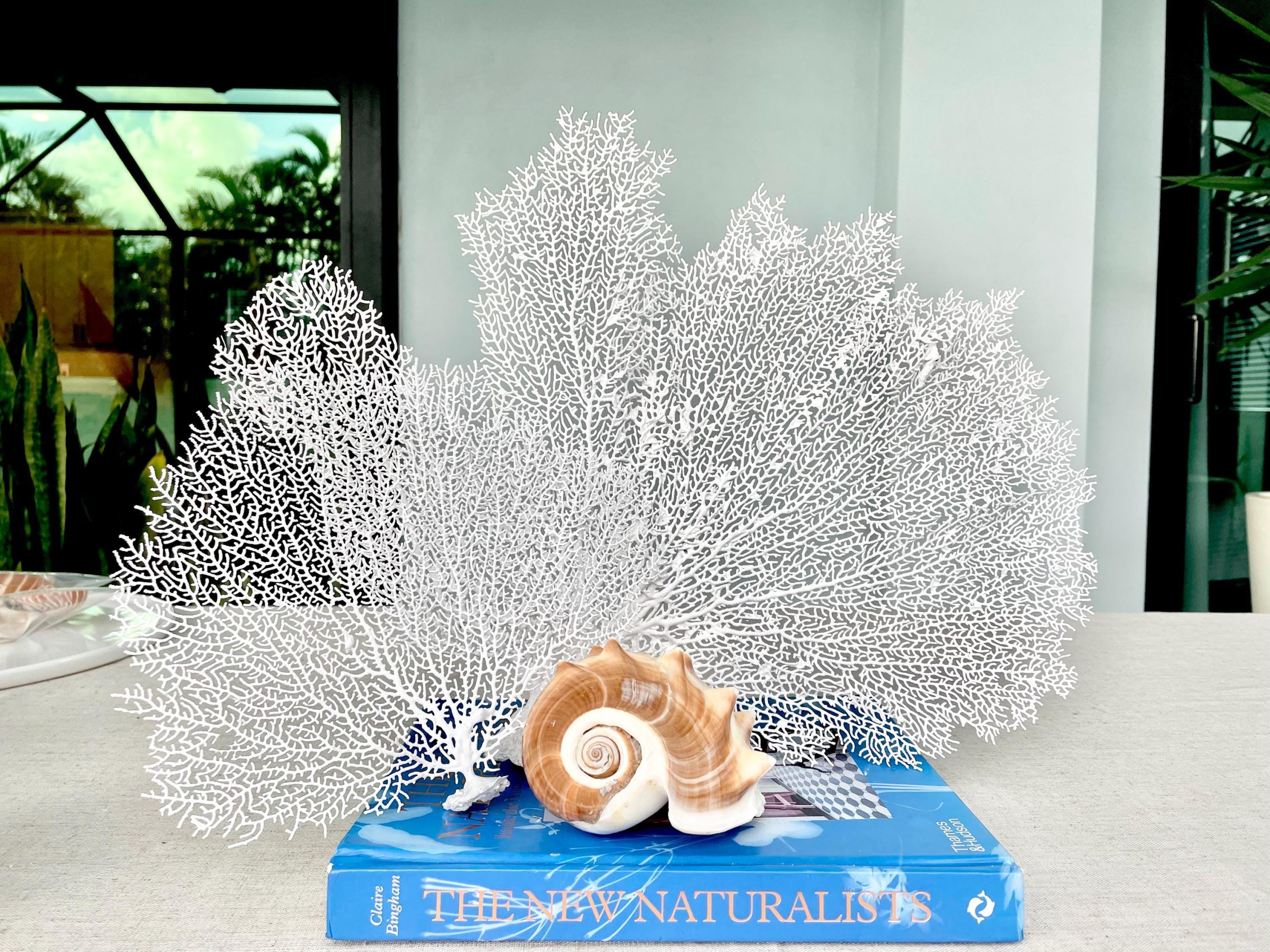 White Sea Fan (8-20") *You Choose Size* Natural Hand Painted Coastal Décor