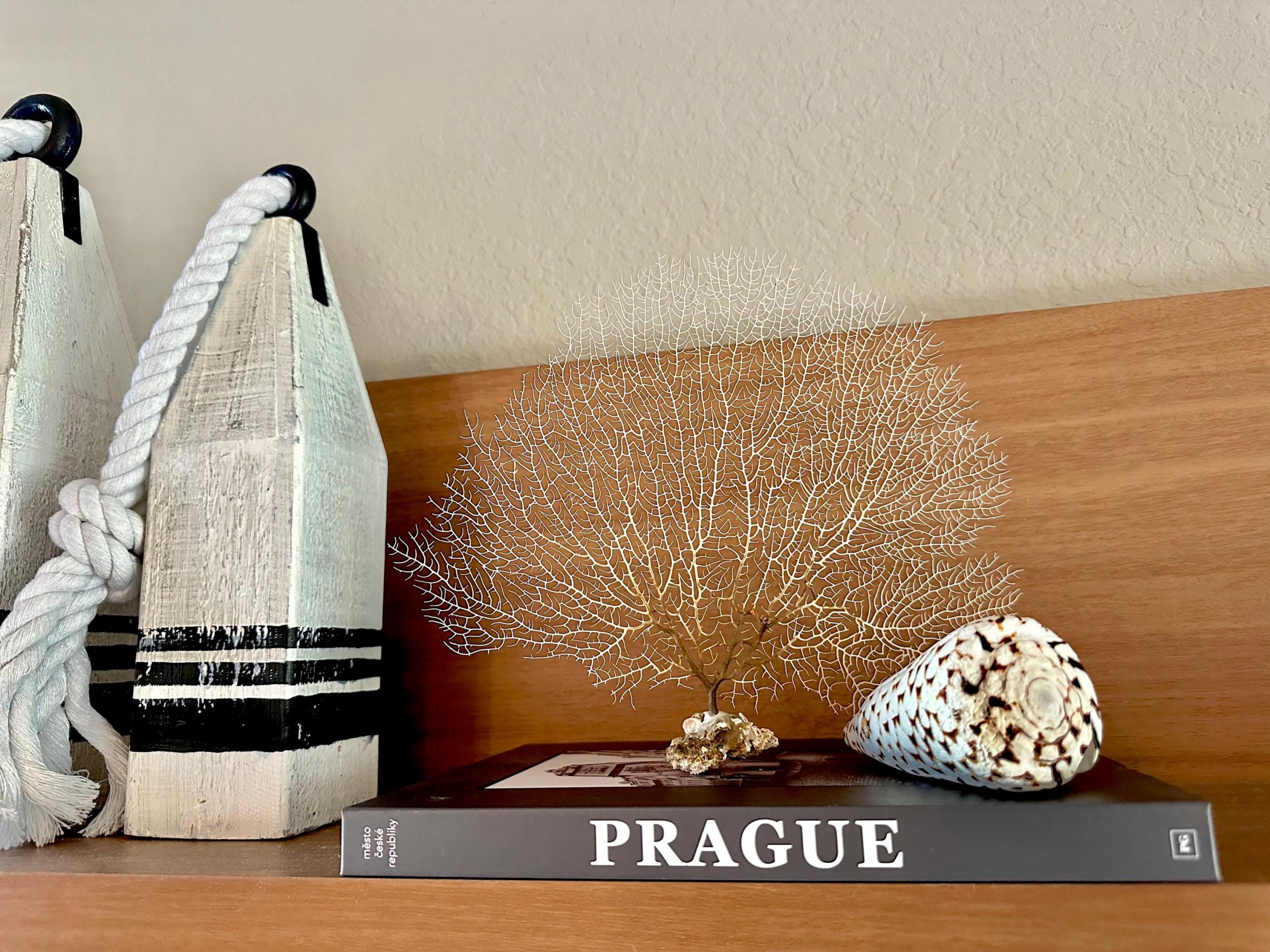 Natural Dried White Sea Fans (7"-20") *You Choose Size* Beach Coastal Décor - Image 10