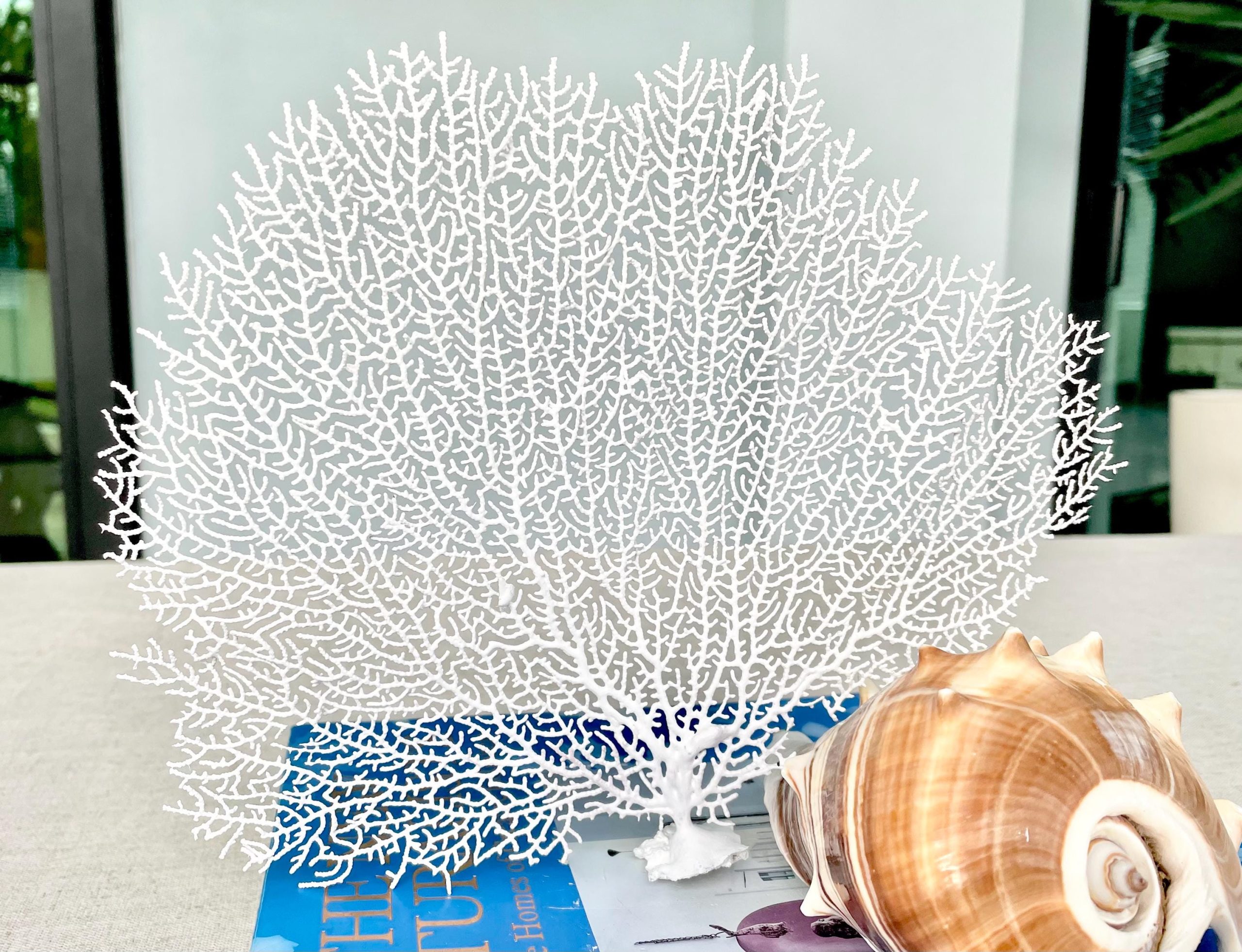 White Sea Fan (8-20") *You Choose Size* Natural Hand Painted Coastal Décor - Image 10