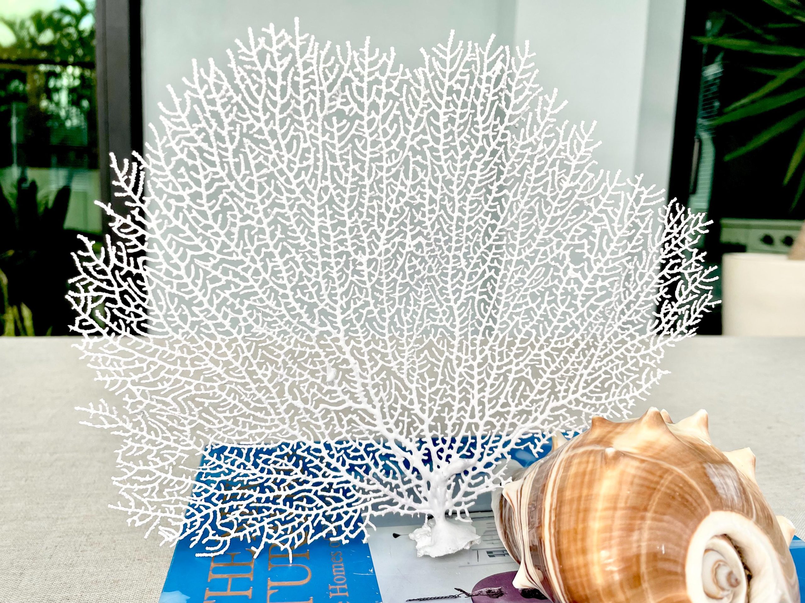 White Sea Fan (8-20") *You Choose Size* Natural Hand Painted Coastal Décor - Image 8