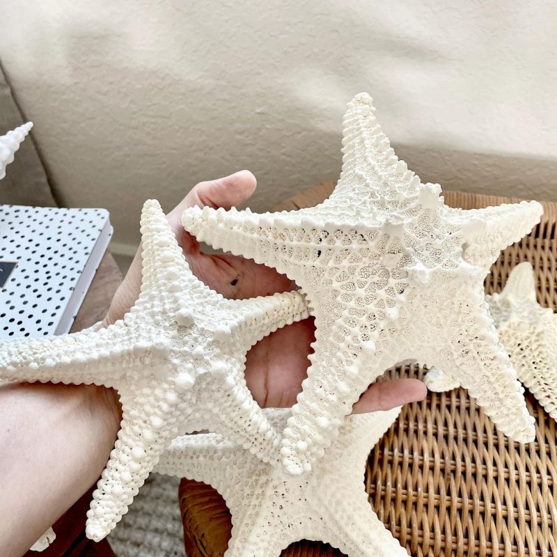 Knobby Starfish 1-10" *You Choose Size* Off White/Tan Crafts & Coastal Décor