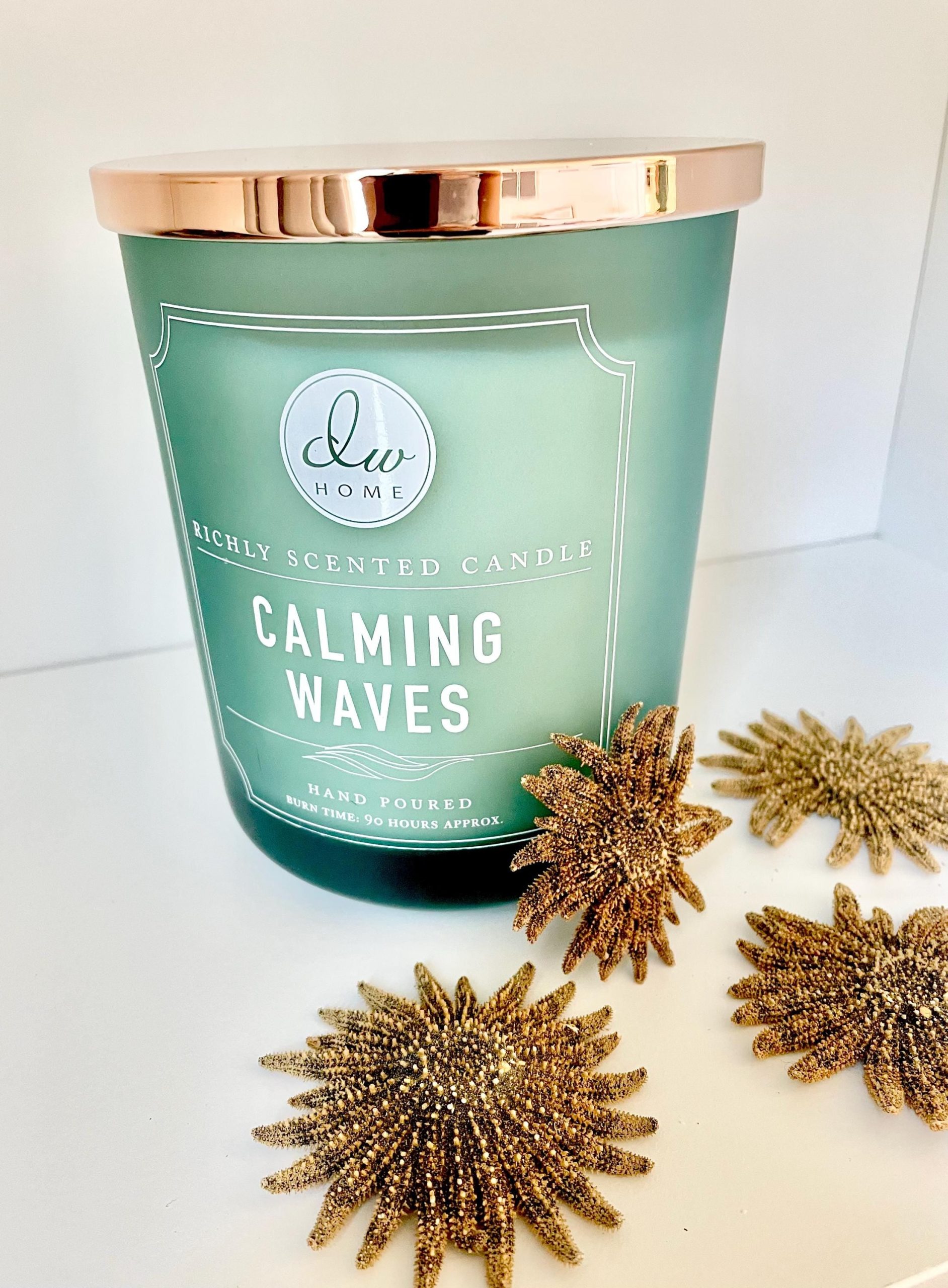 Mexican Sunflower Starfish 2-5" *You Choose Size* Real Dried Sea Star, Beach Décor - Image 7