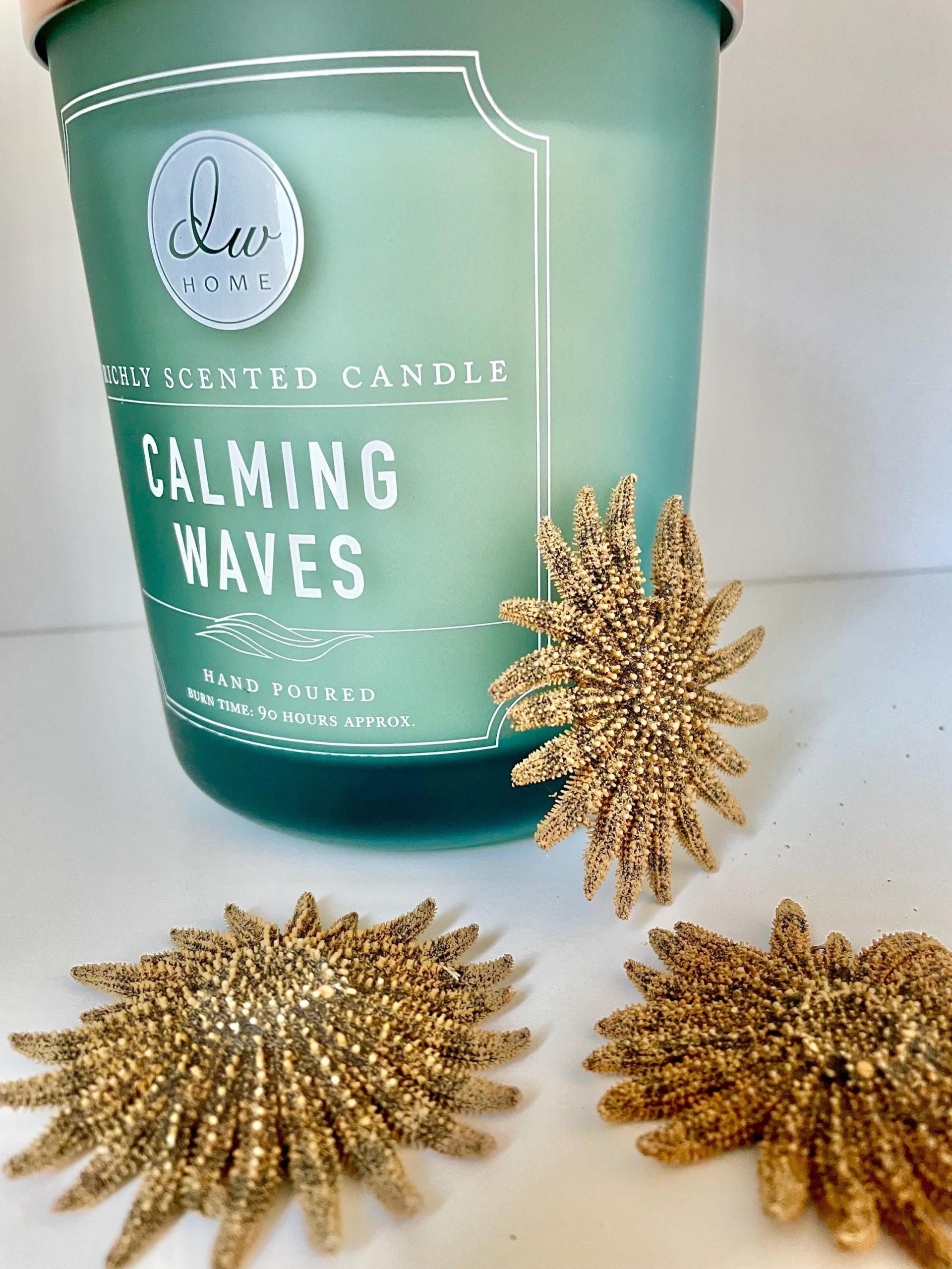 Mexican Sunflower Starfish 2-5" *You Choose Size* Real Dried Sea Star, Beach Décor - Image 8