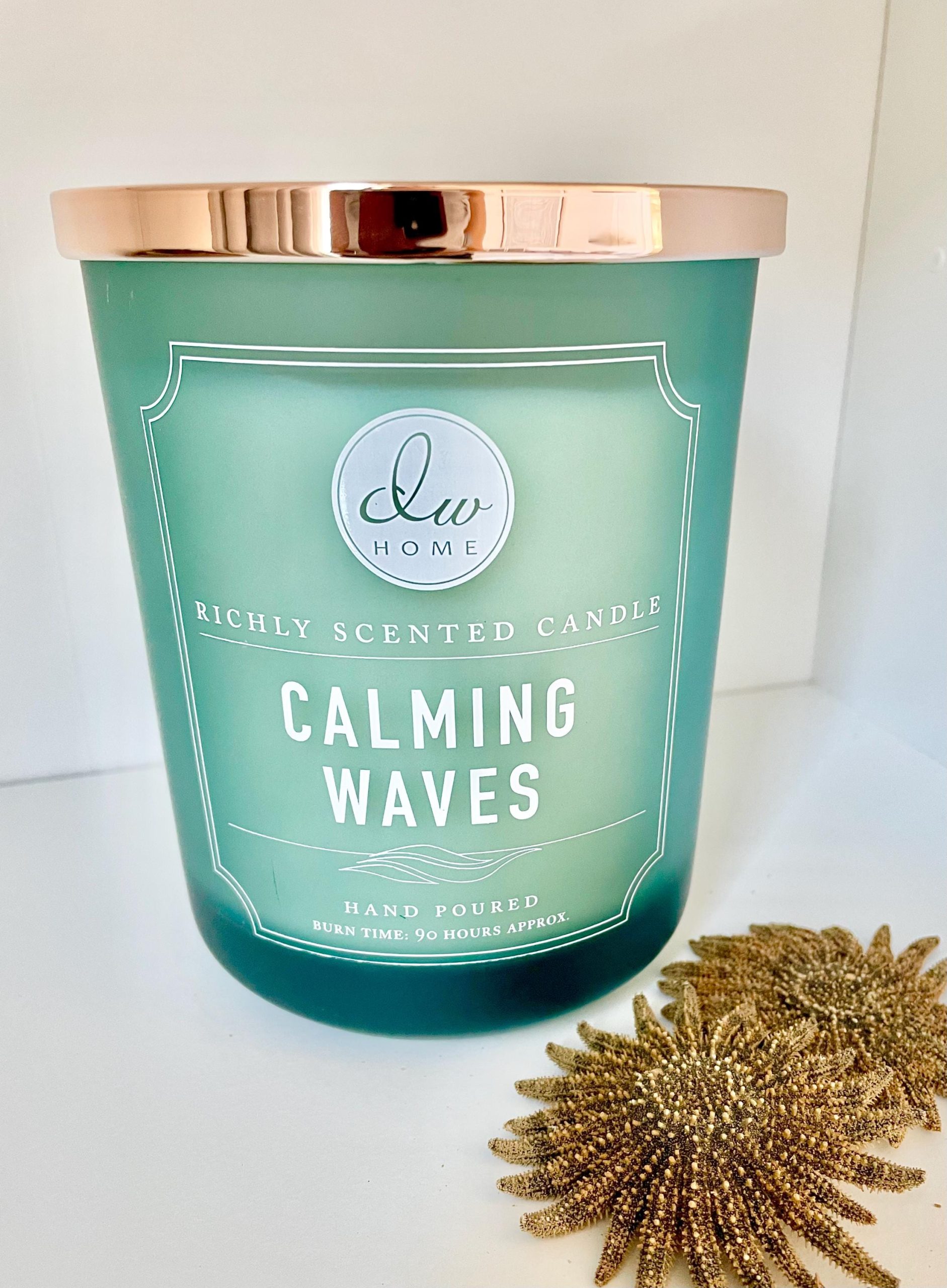 Mexican Sunflower Starfish 2-5" *You Choose Size* Real Dried Sea Star, Beach Décor - Image 4